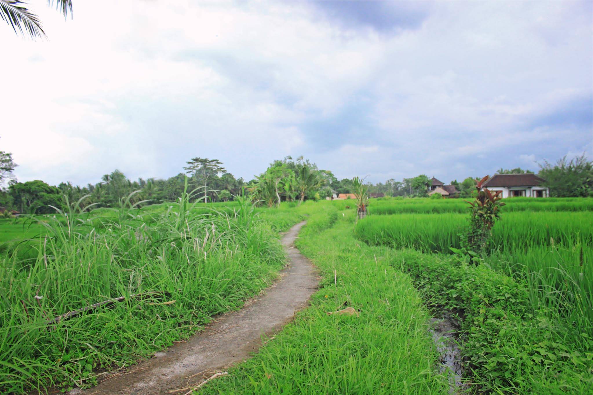 Sunset House Ubud