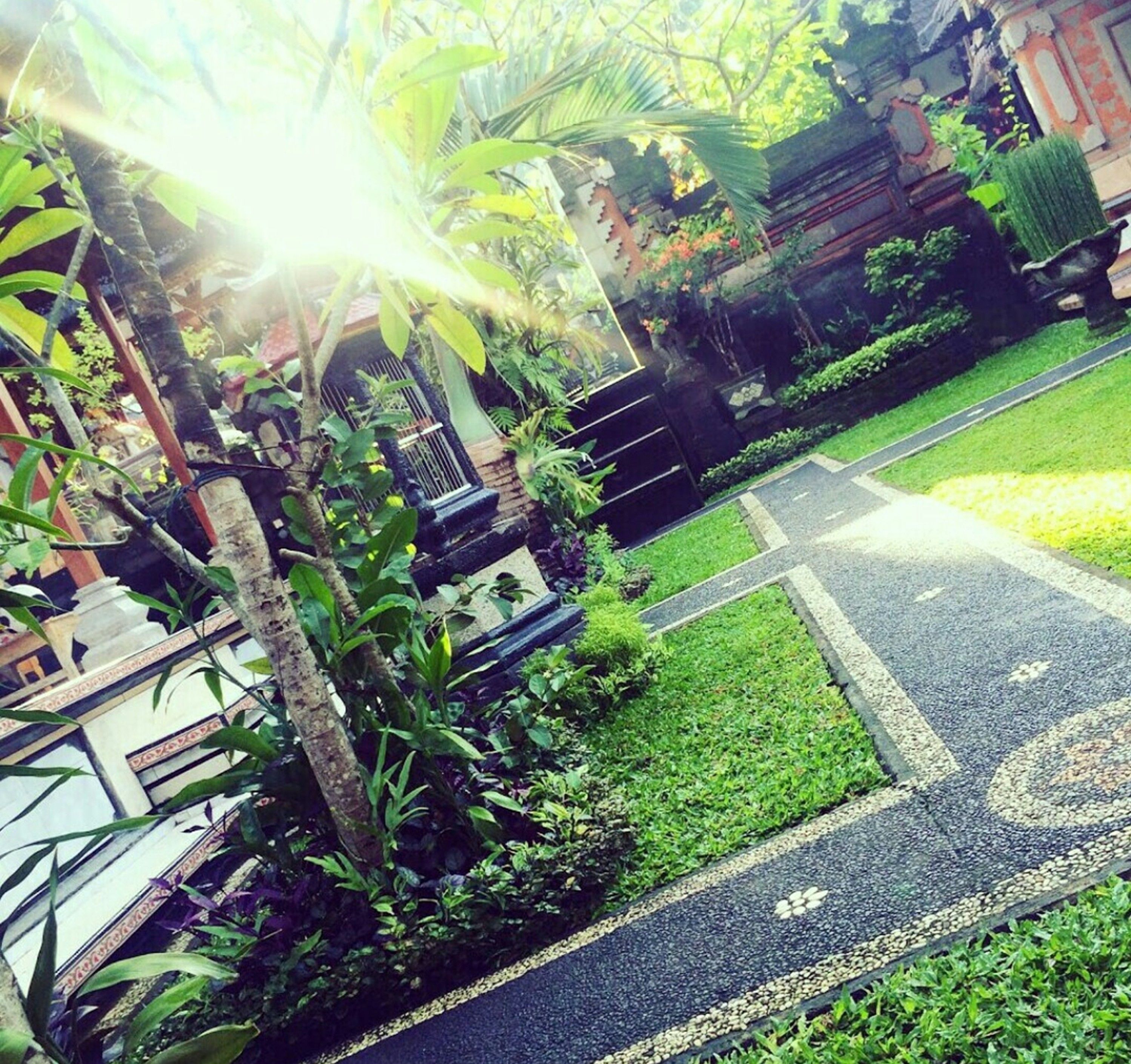 Super OYO Capital O Pondok Ayu Homestay