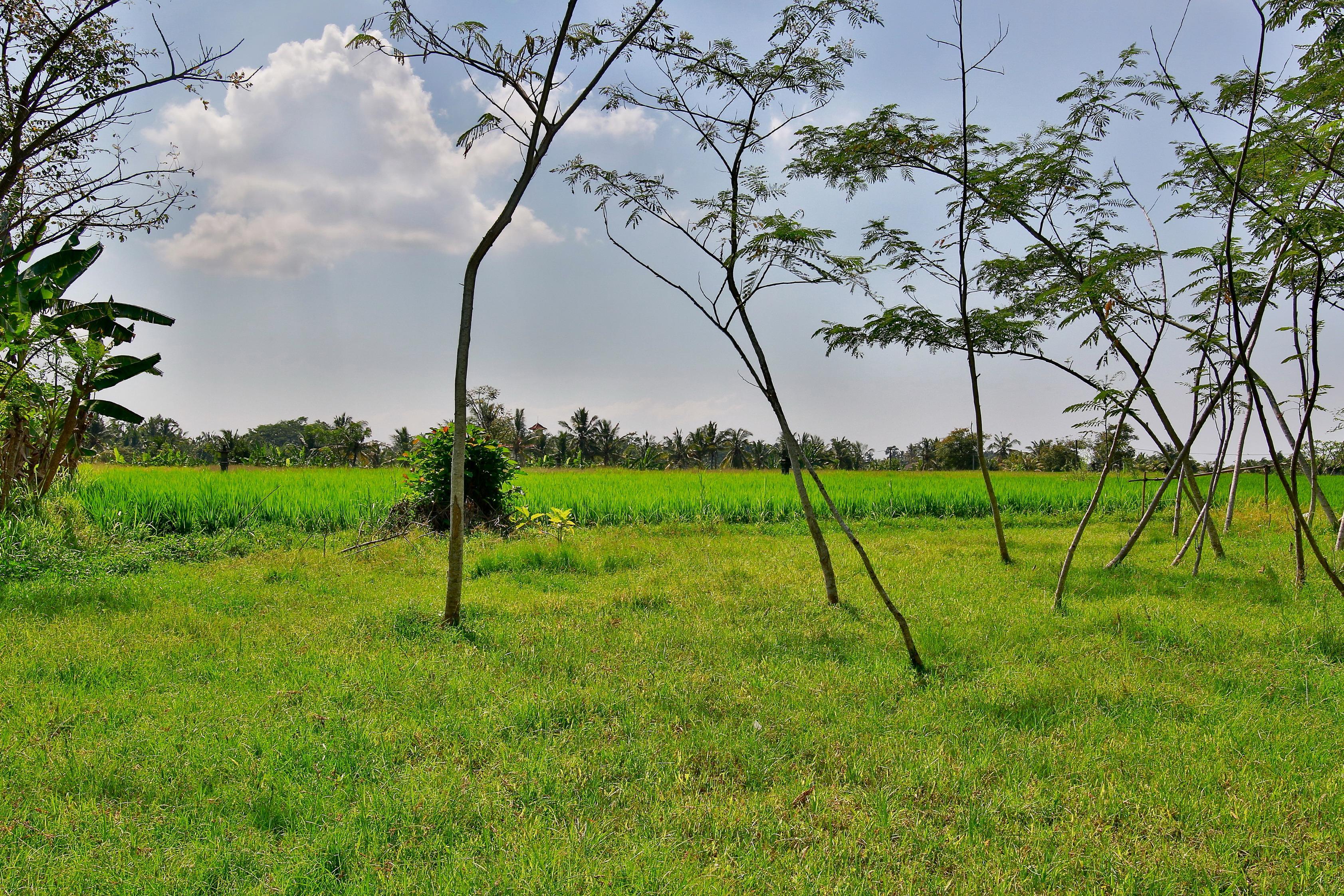 Taman Harum Cottages