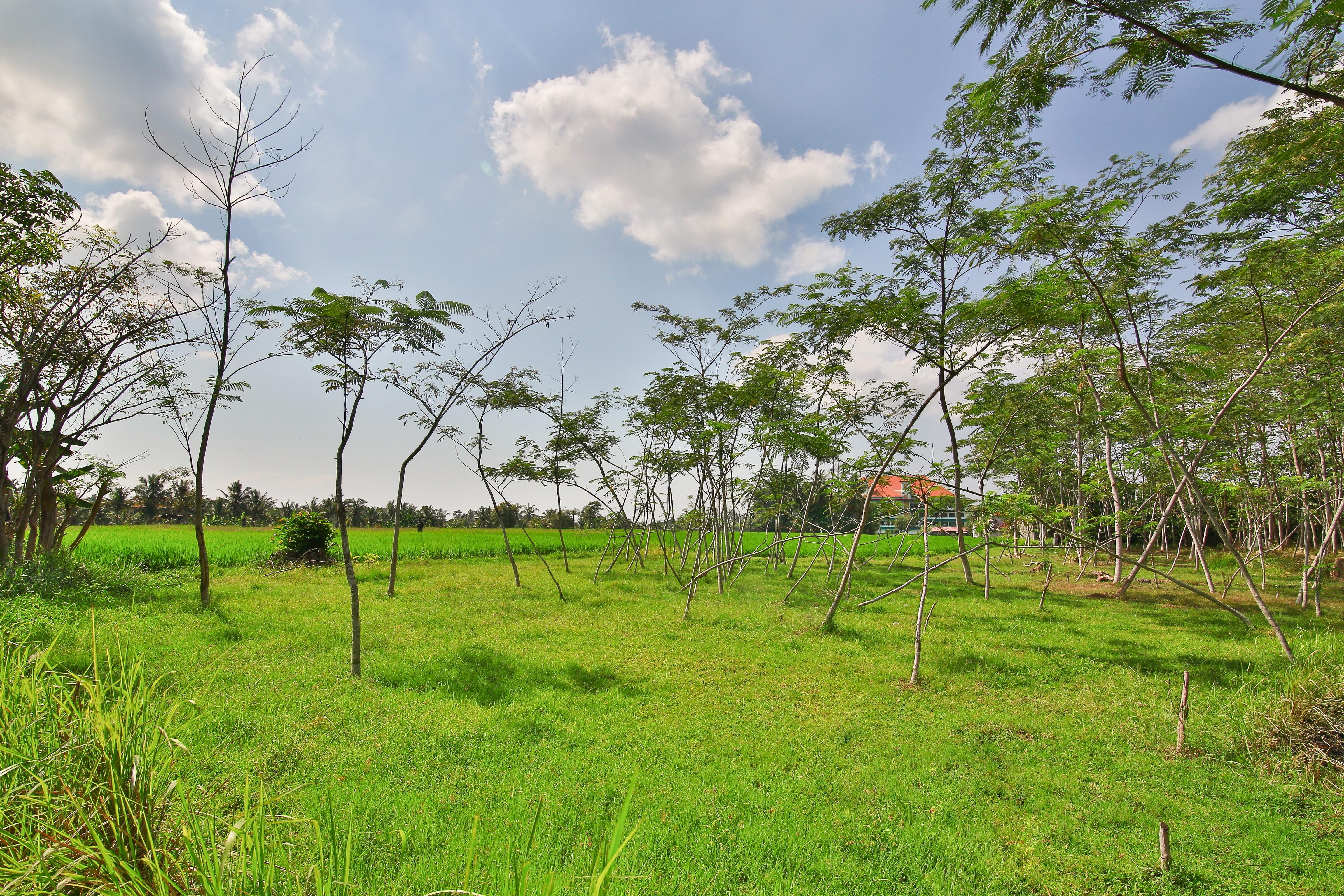 Taman Harum Cottages