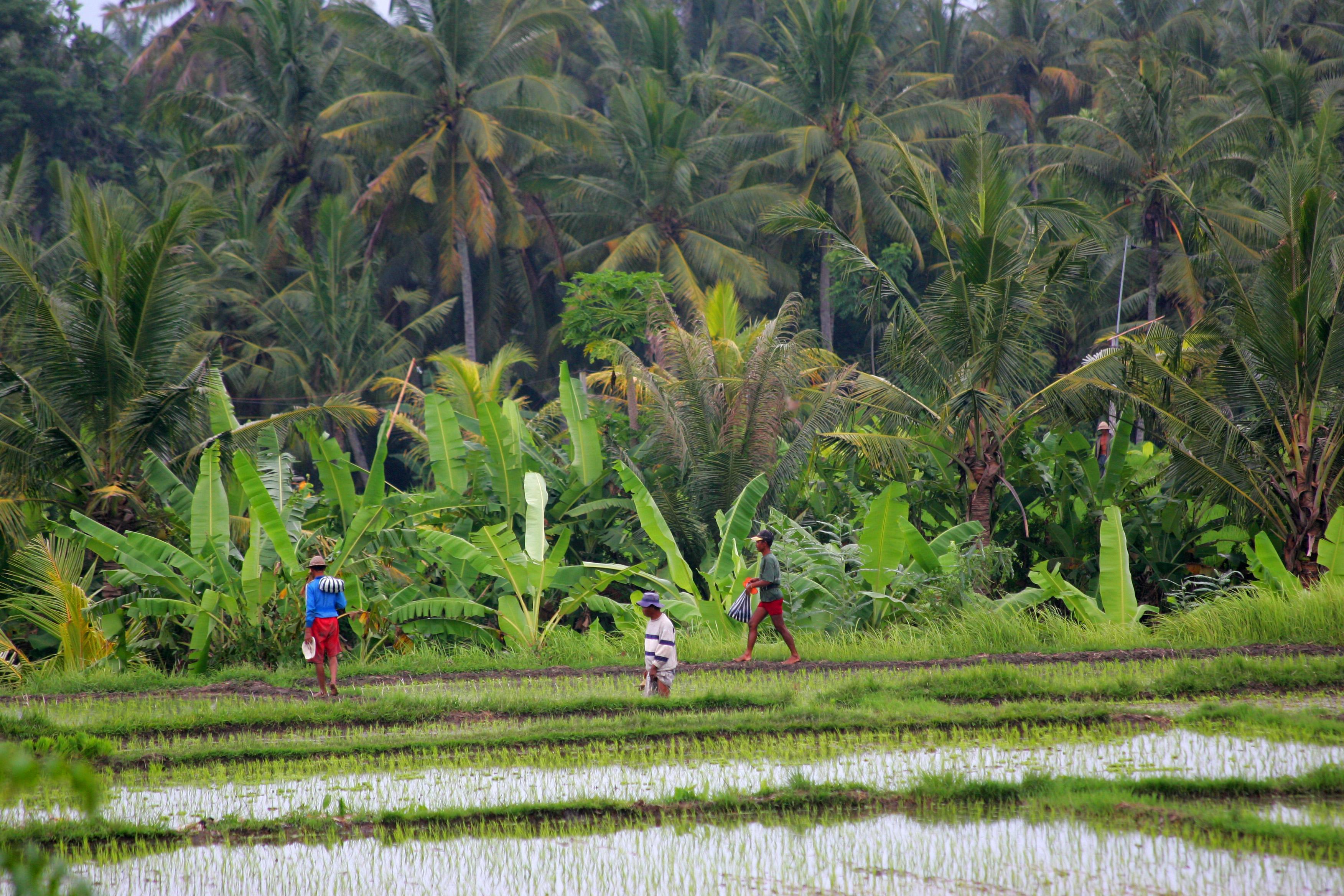 Taman Harum Cottages