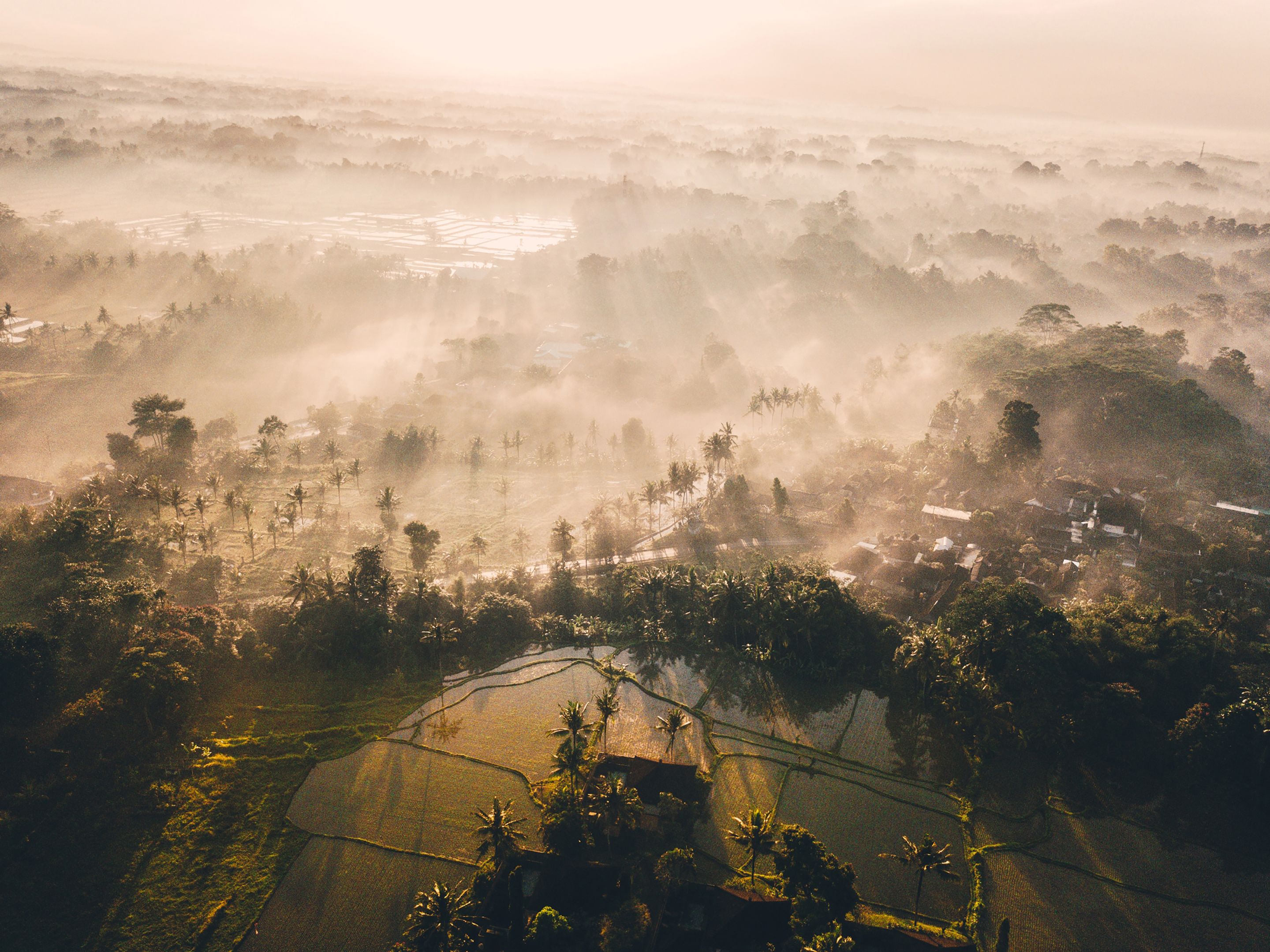Tanah Gajah, a Resort by Hadiprana