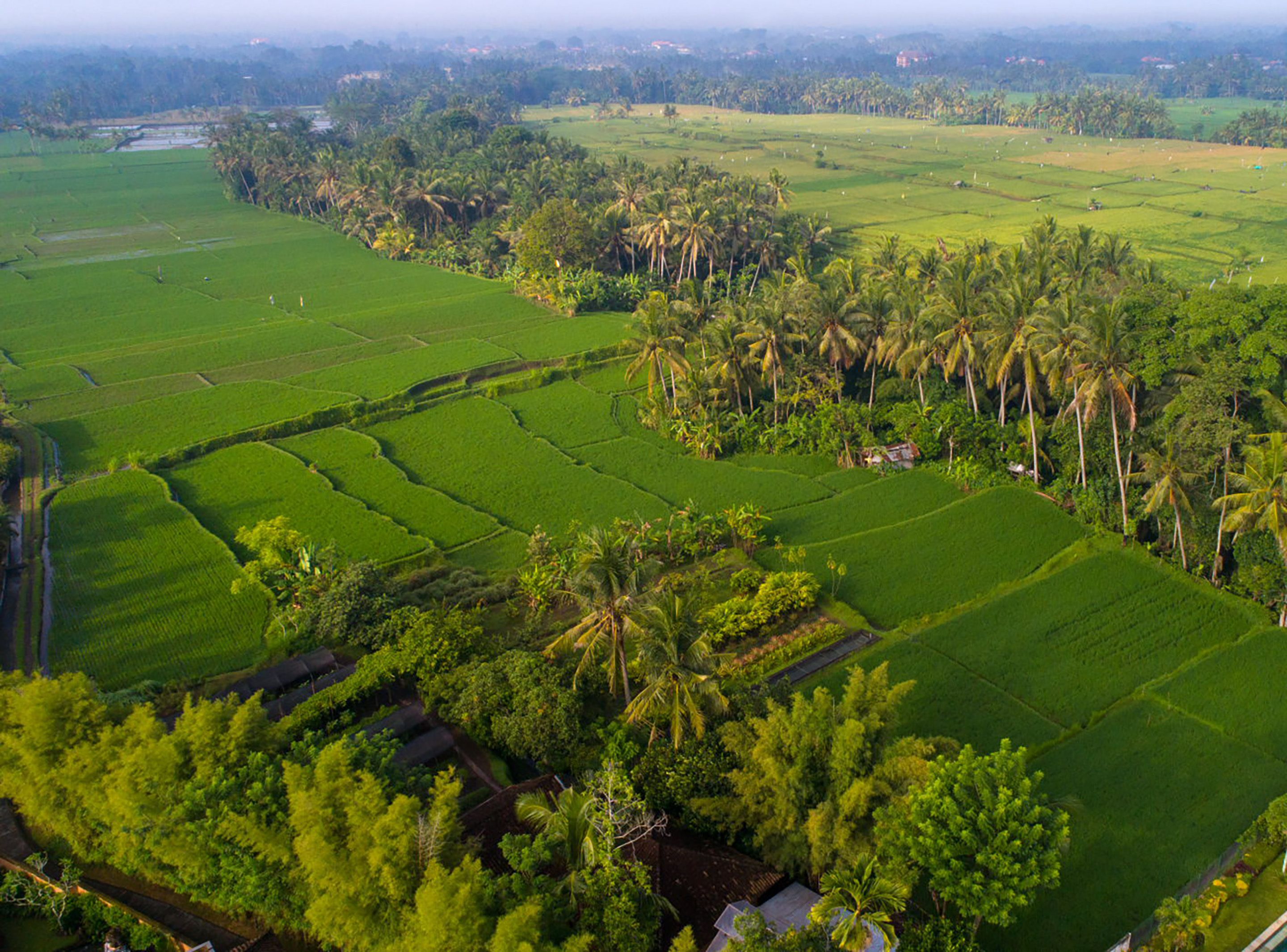 Tanah Gajah, a Resort by Hadiprana