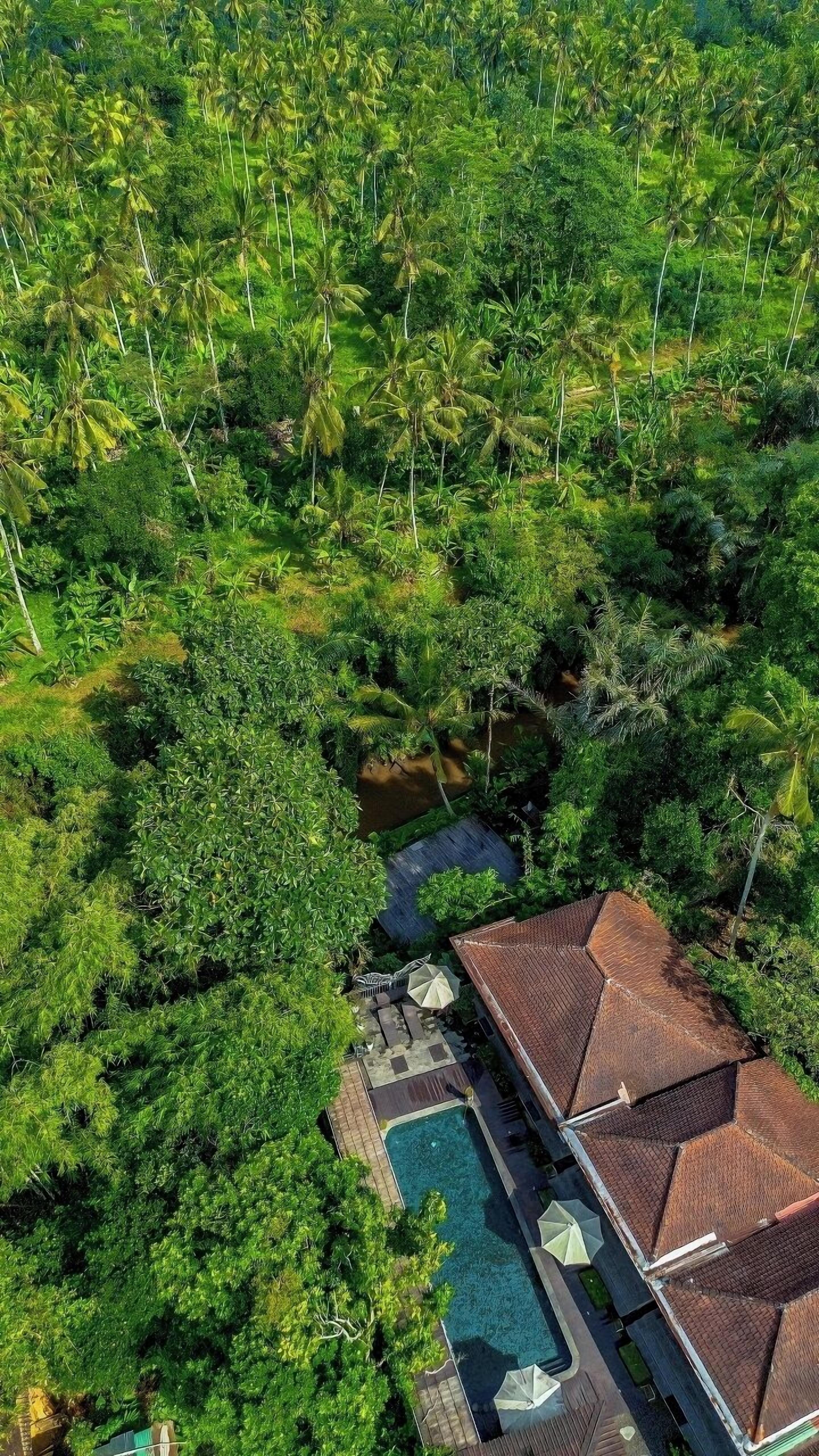 Tattva Bali Retreat & Wellness