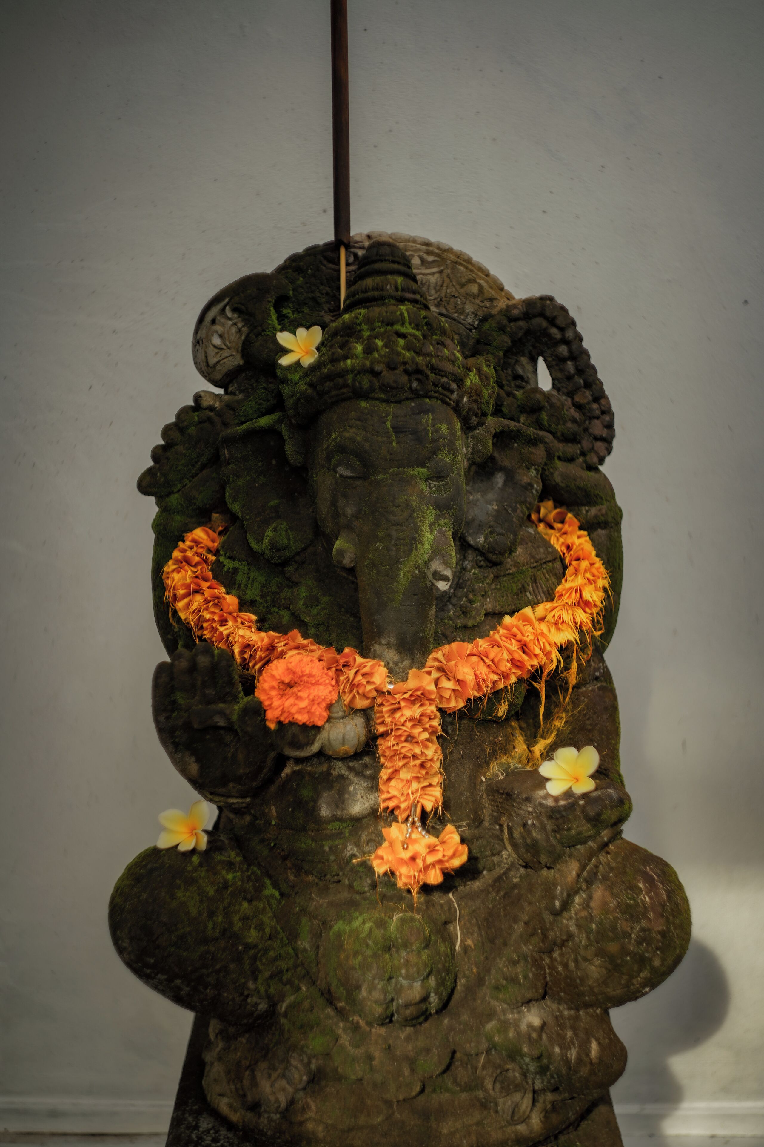 Tattva Bali Retreat & Wellness