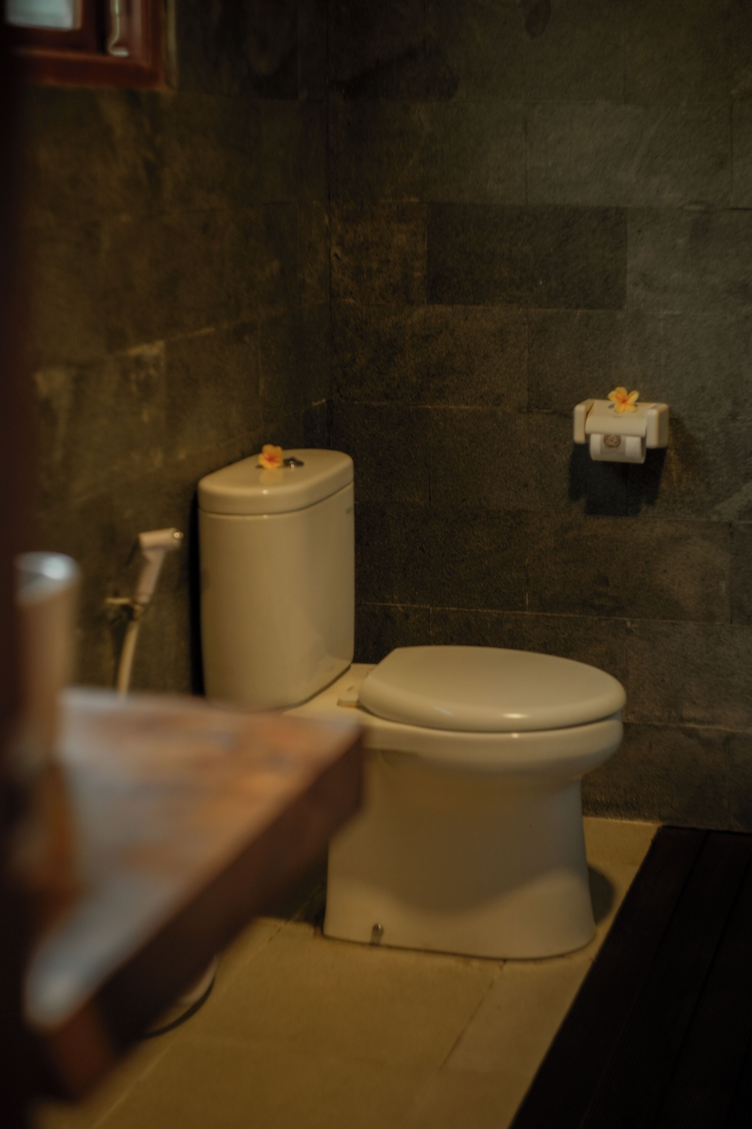 Tattva Bali Retreat & Wellness