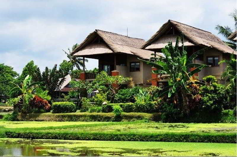 Tegal Sari Accommodation