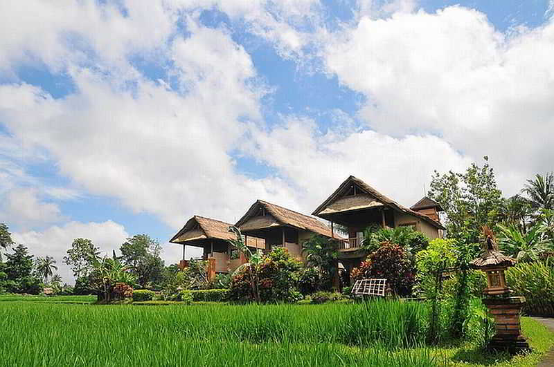 Tegal Sari Accommodation