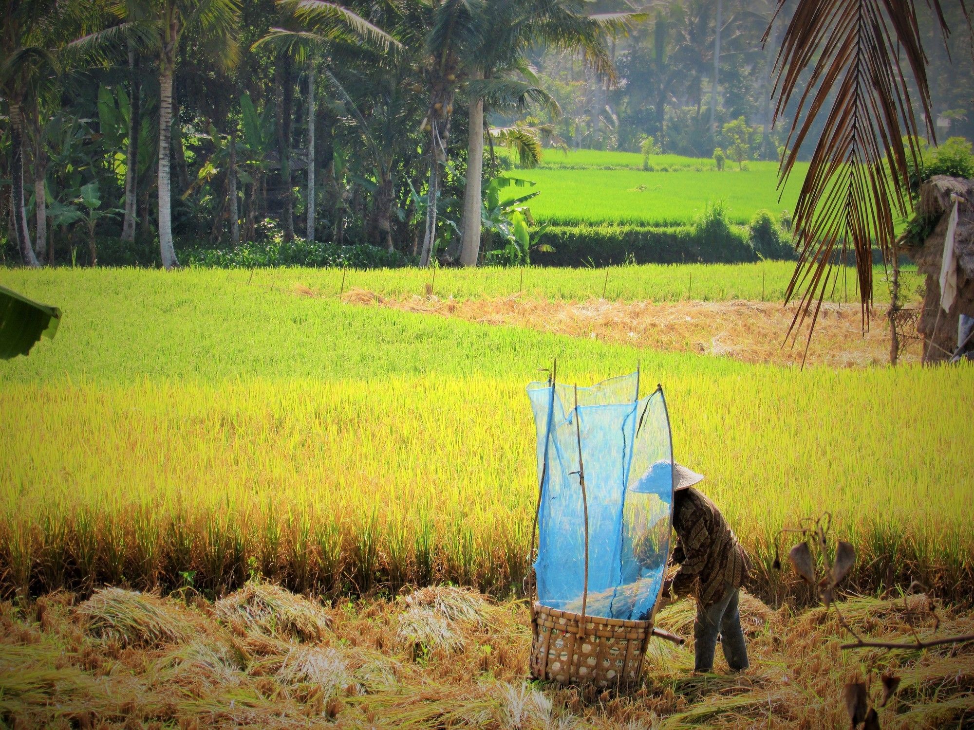 Temuku Villas Ubud