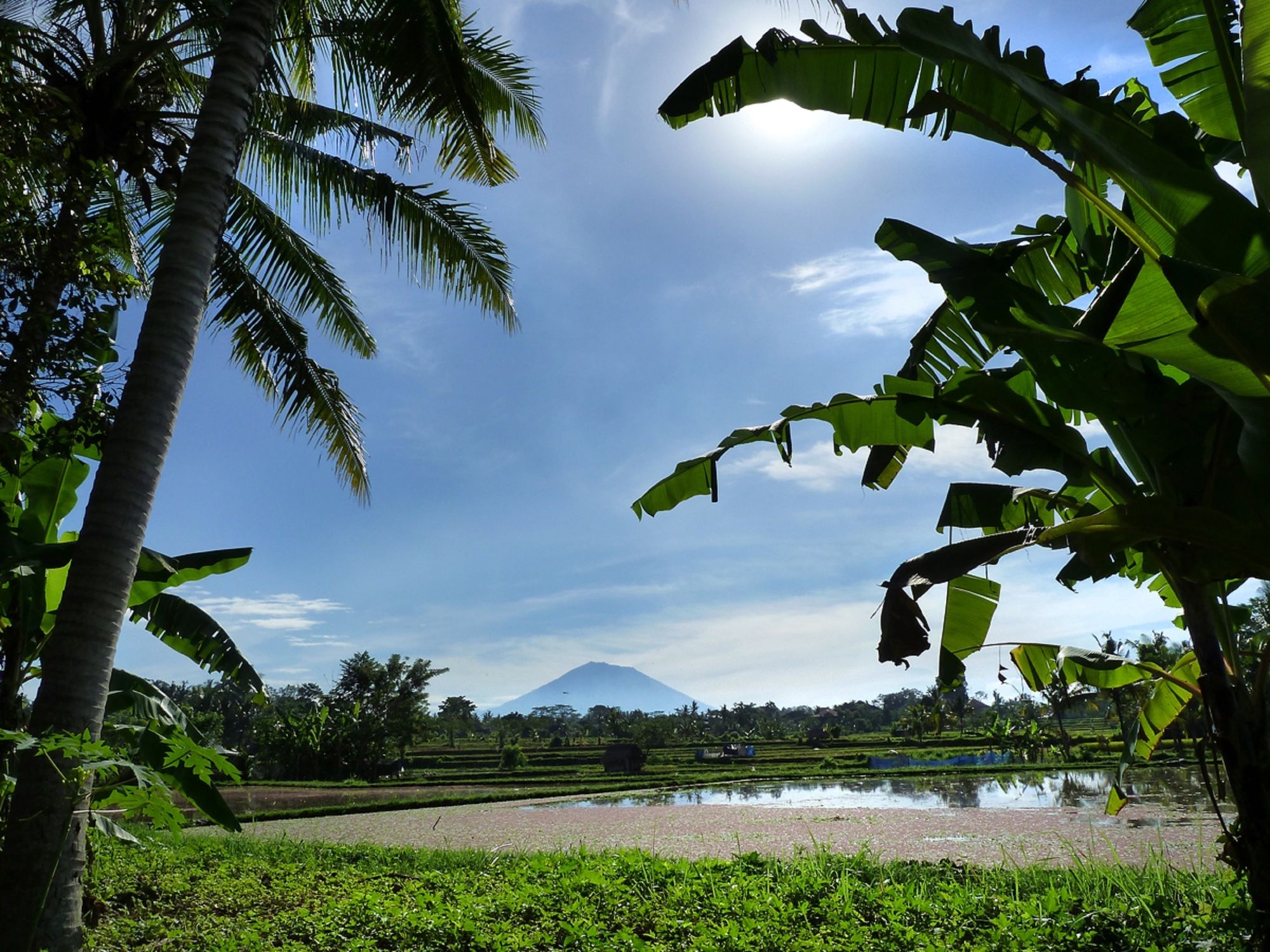 Temuku Villas Ubud