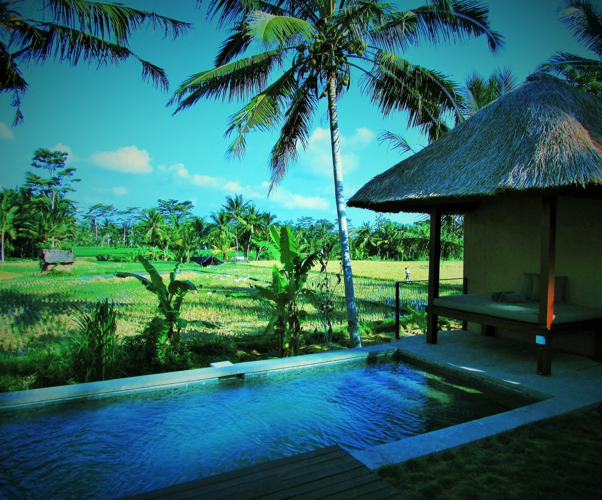 Temuku Villas Ubud