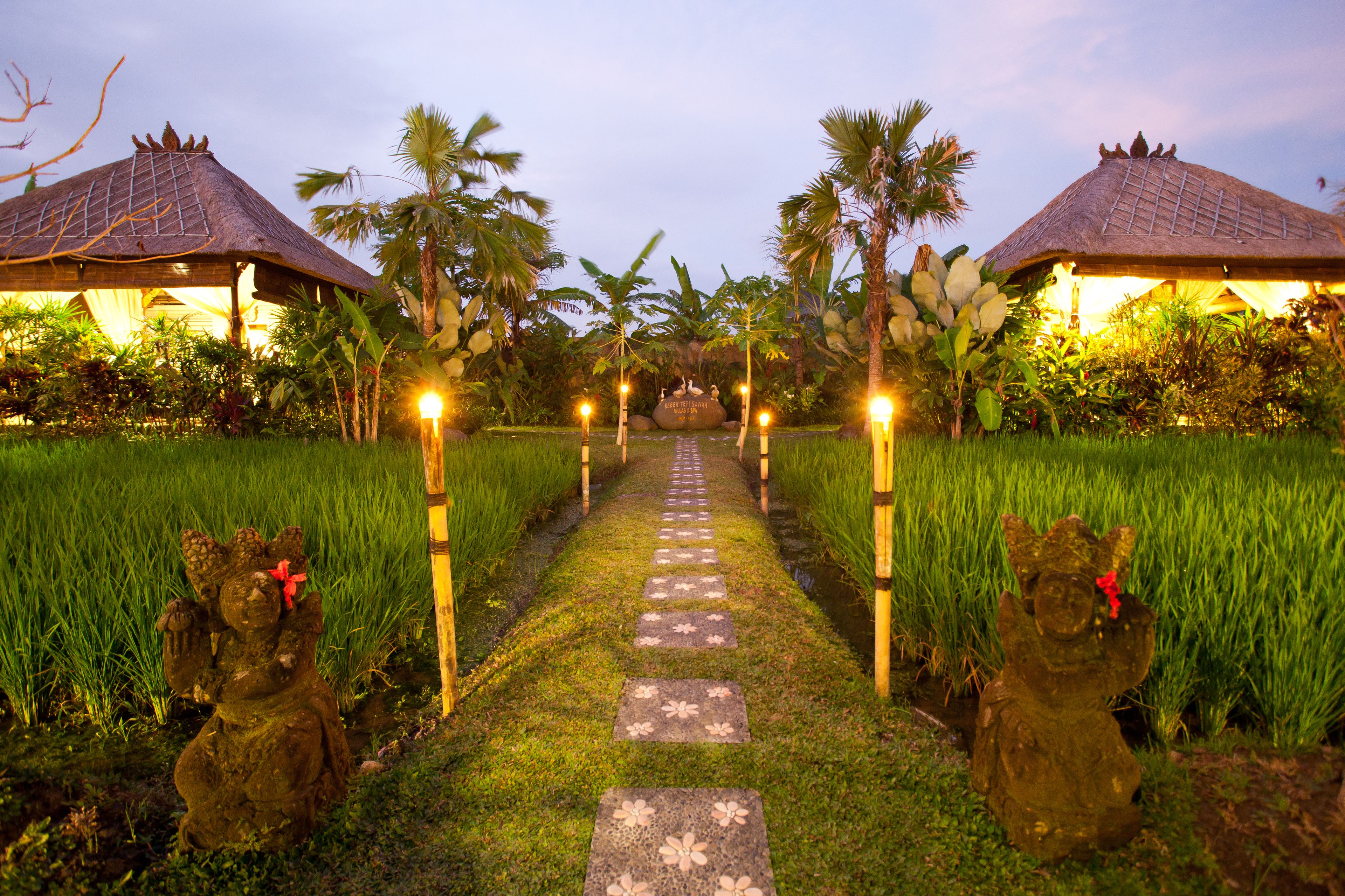 Tepi Sawah Villas