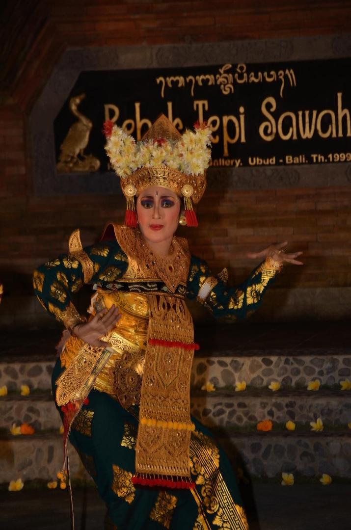 Tepi Sawah Villas