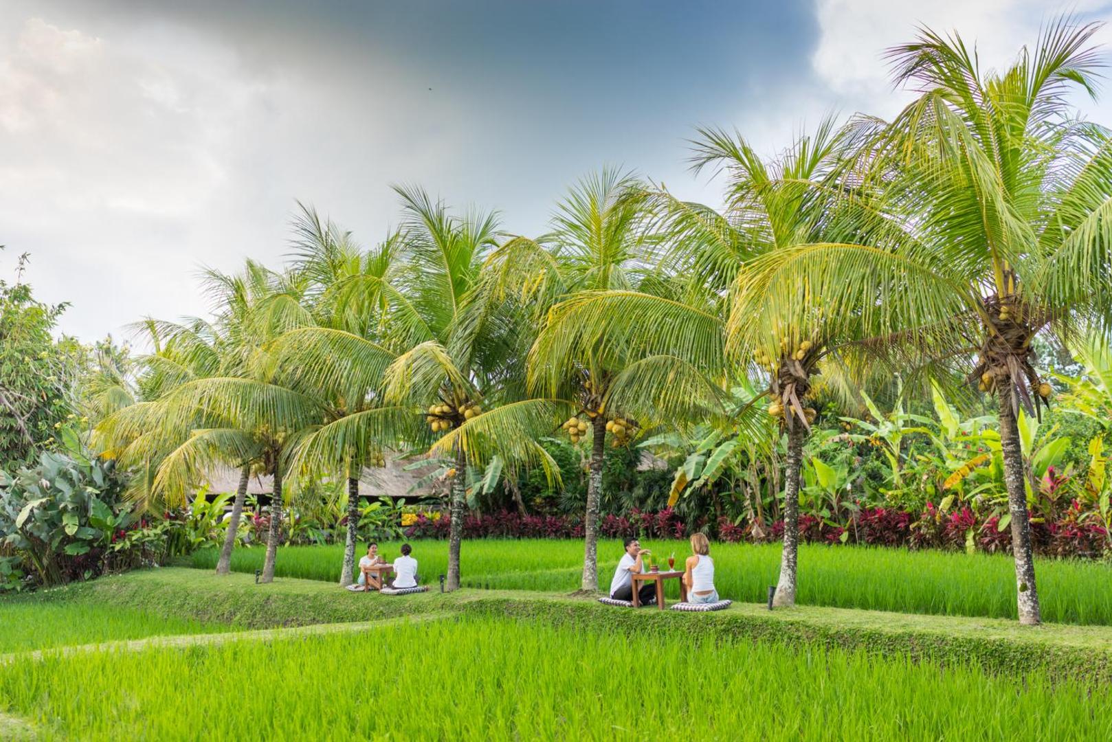 Tepi Sawah Villas