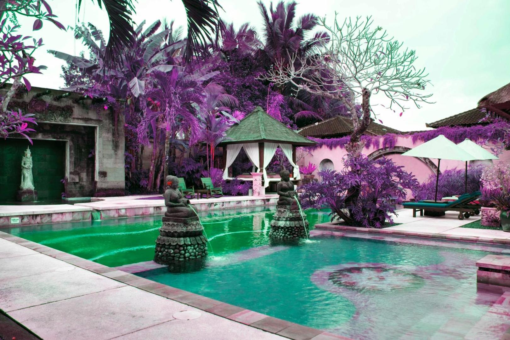 Tepi Sawah Villas