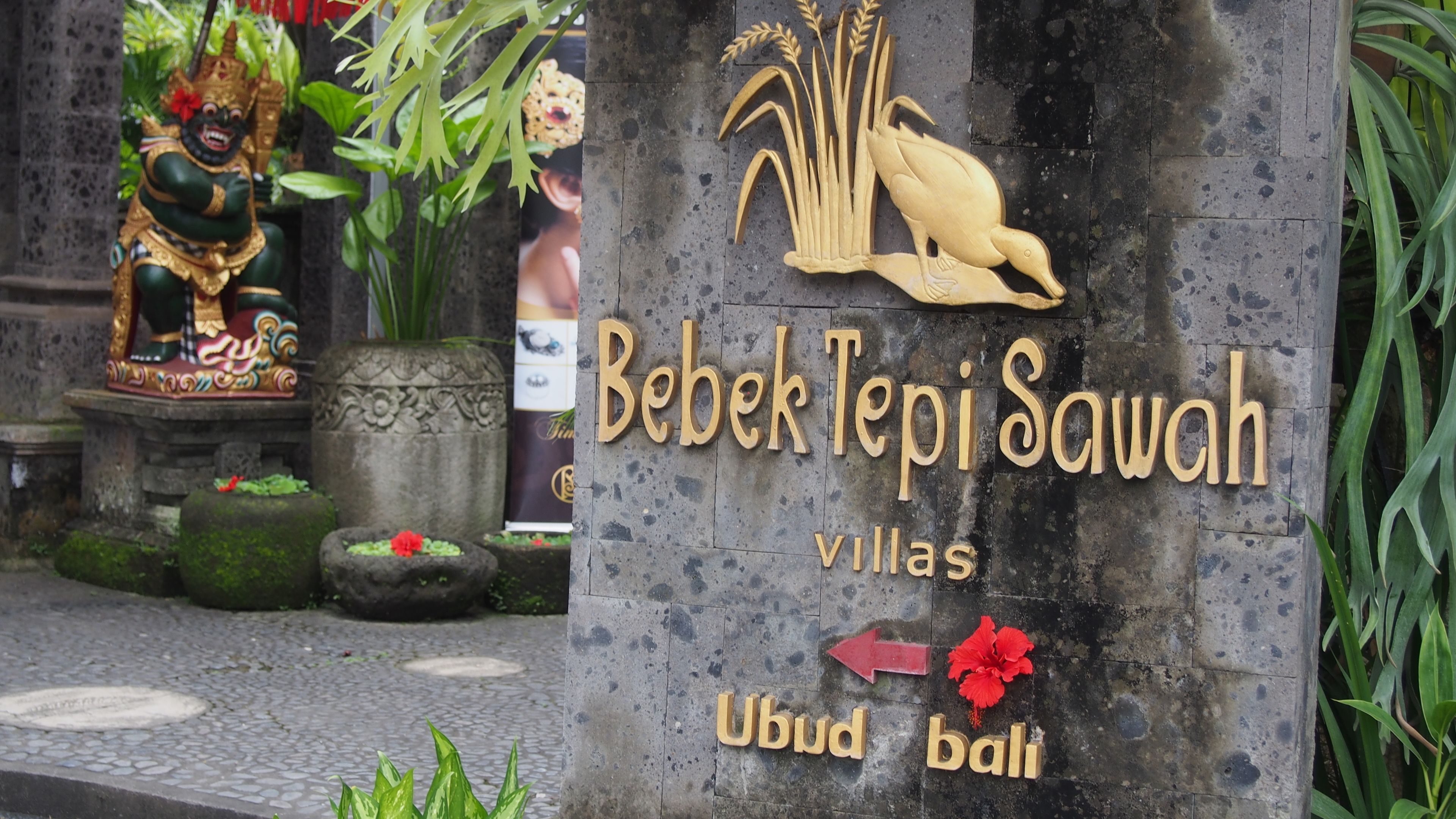 Tepi Sawah Villas