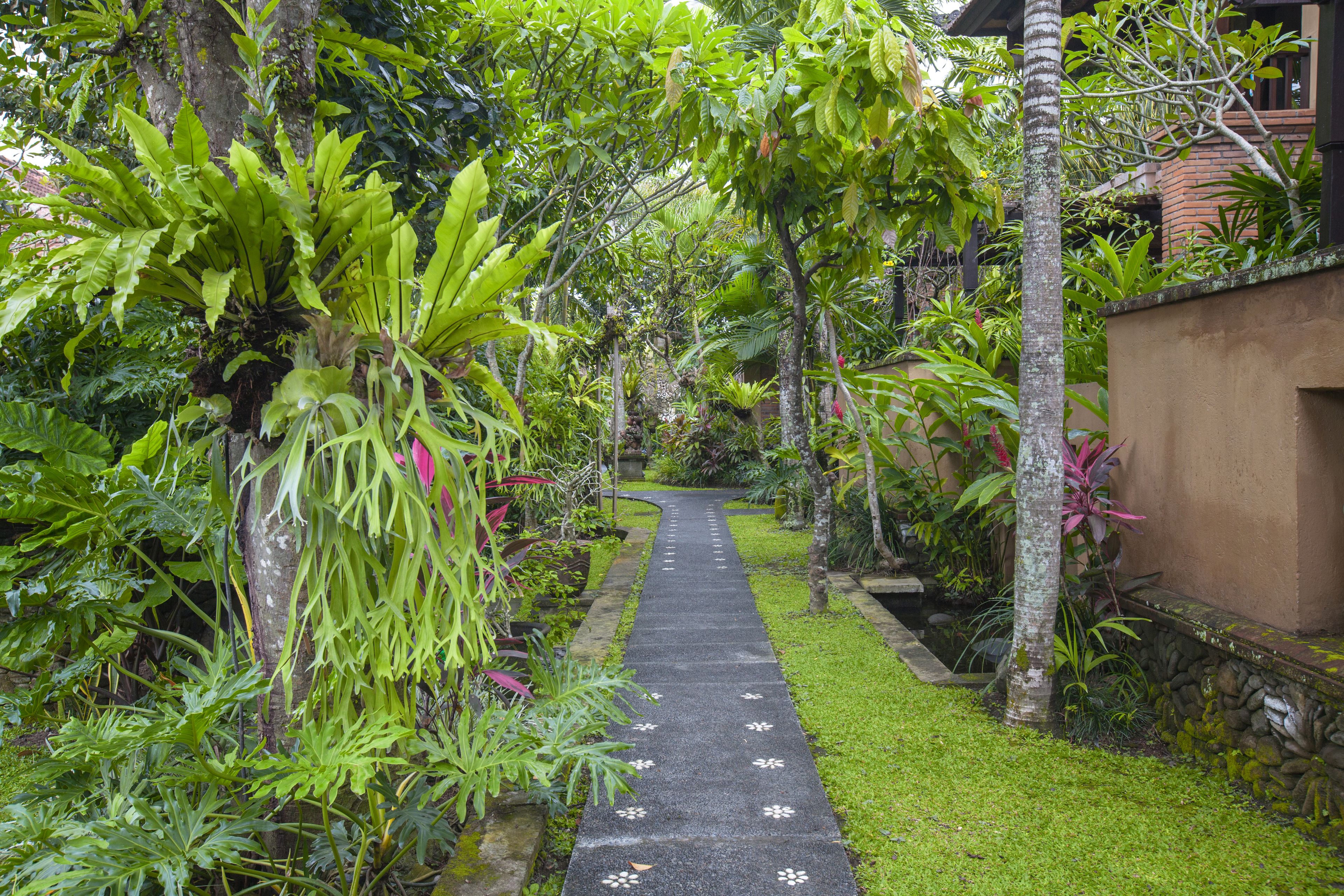 Tepi Sawah Villas