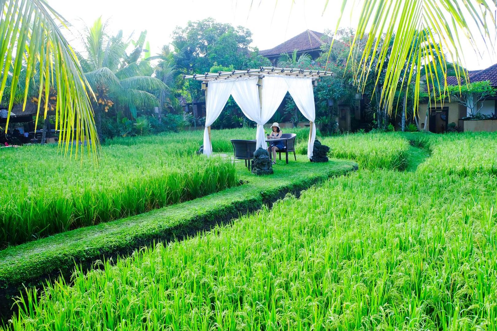 Tepi Sawah Villas