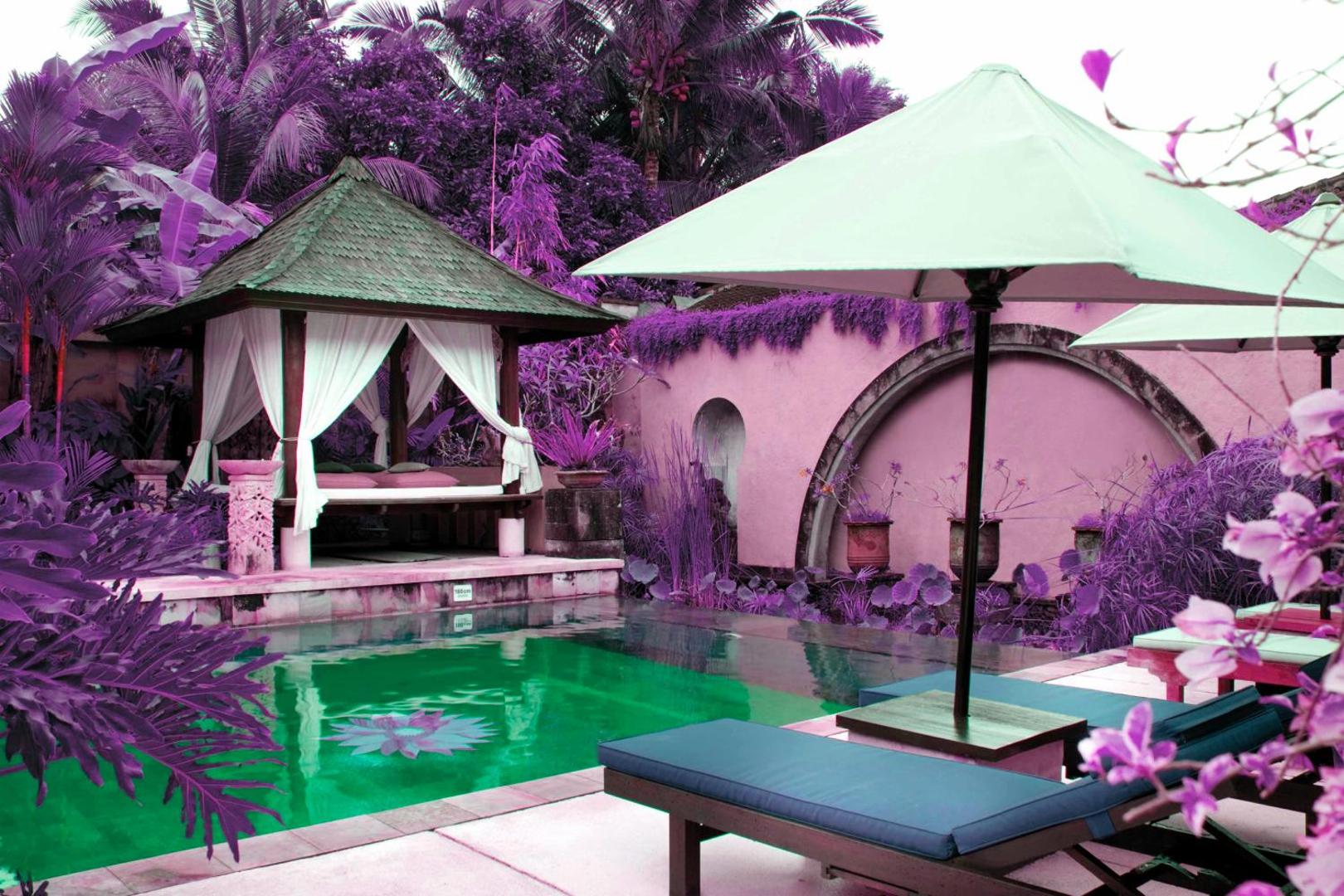 Tepi Sawah Villas
