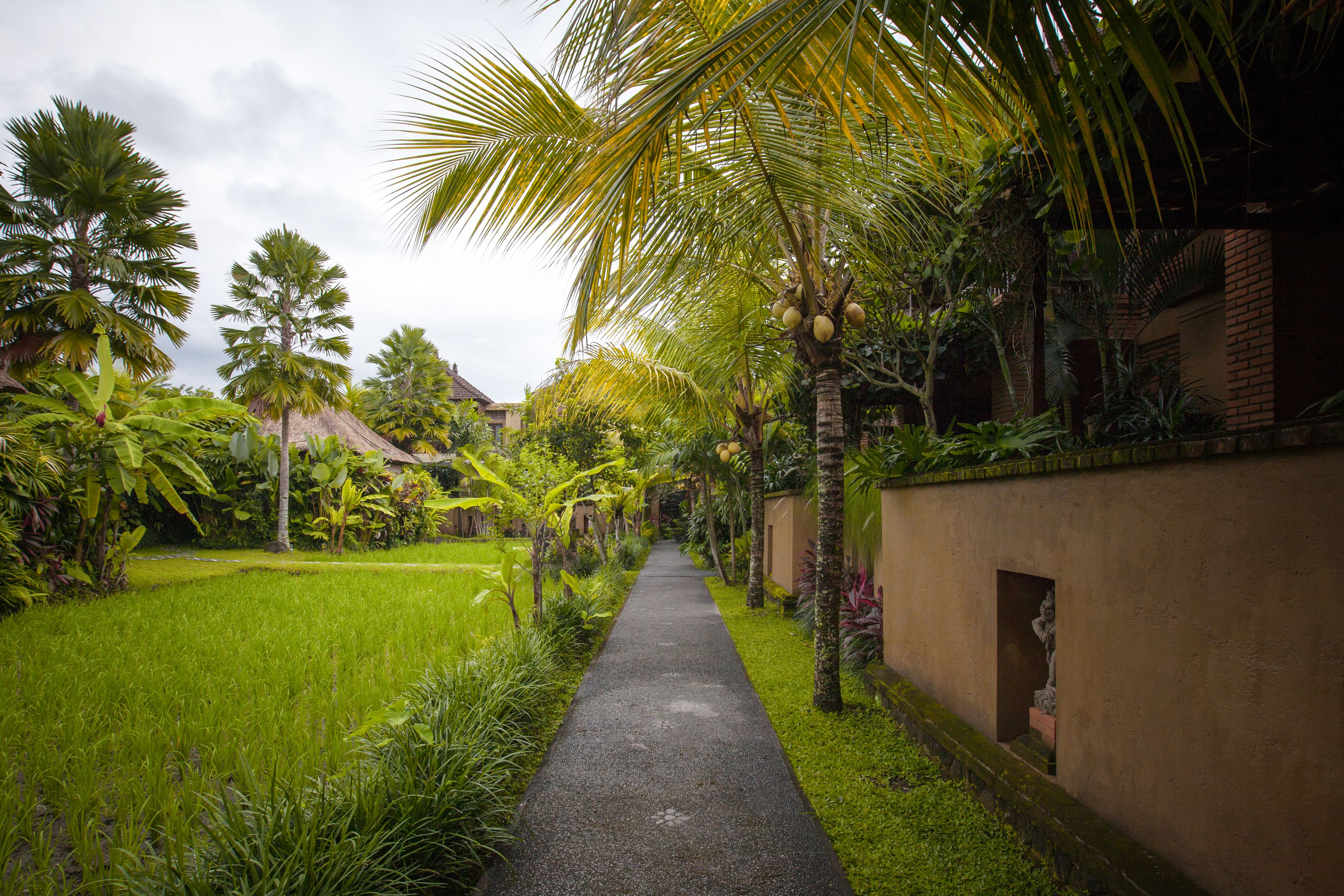 Tepi Sawah Villas