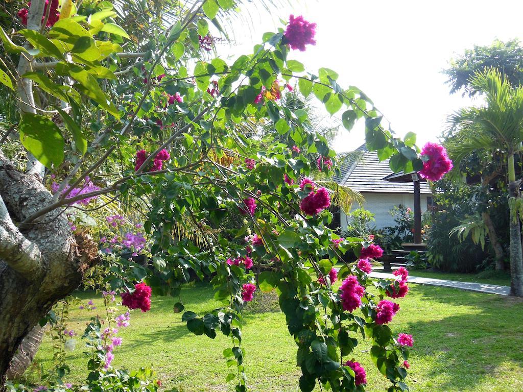 Terang Bulan Cottages