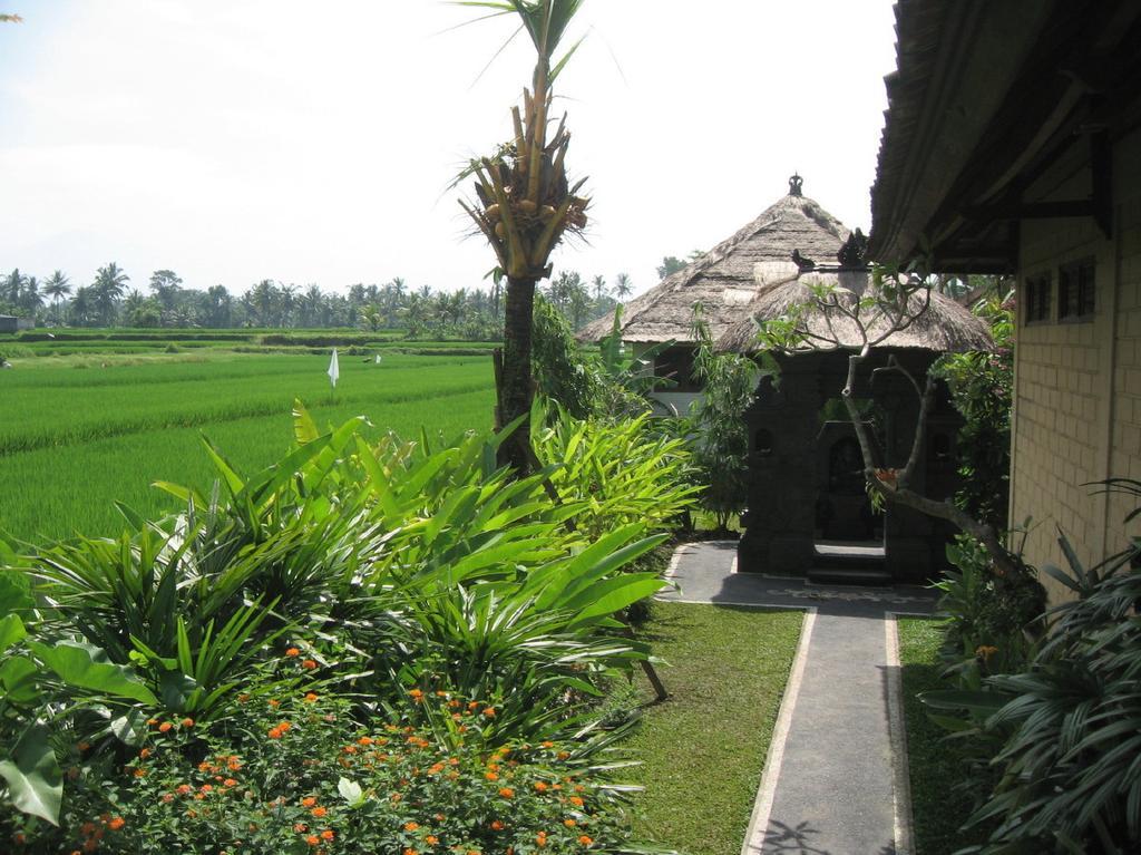 Terang Bulan Cottages