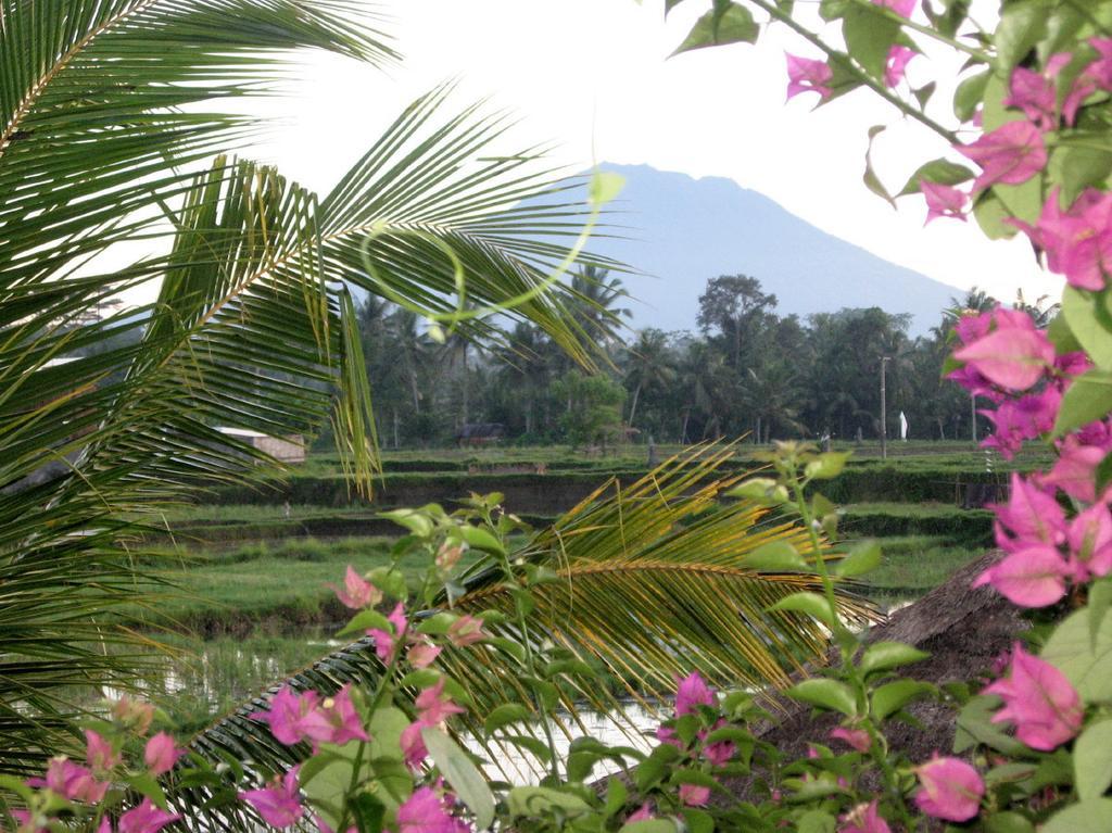 Terang Bulan Cottages