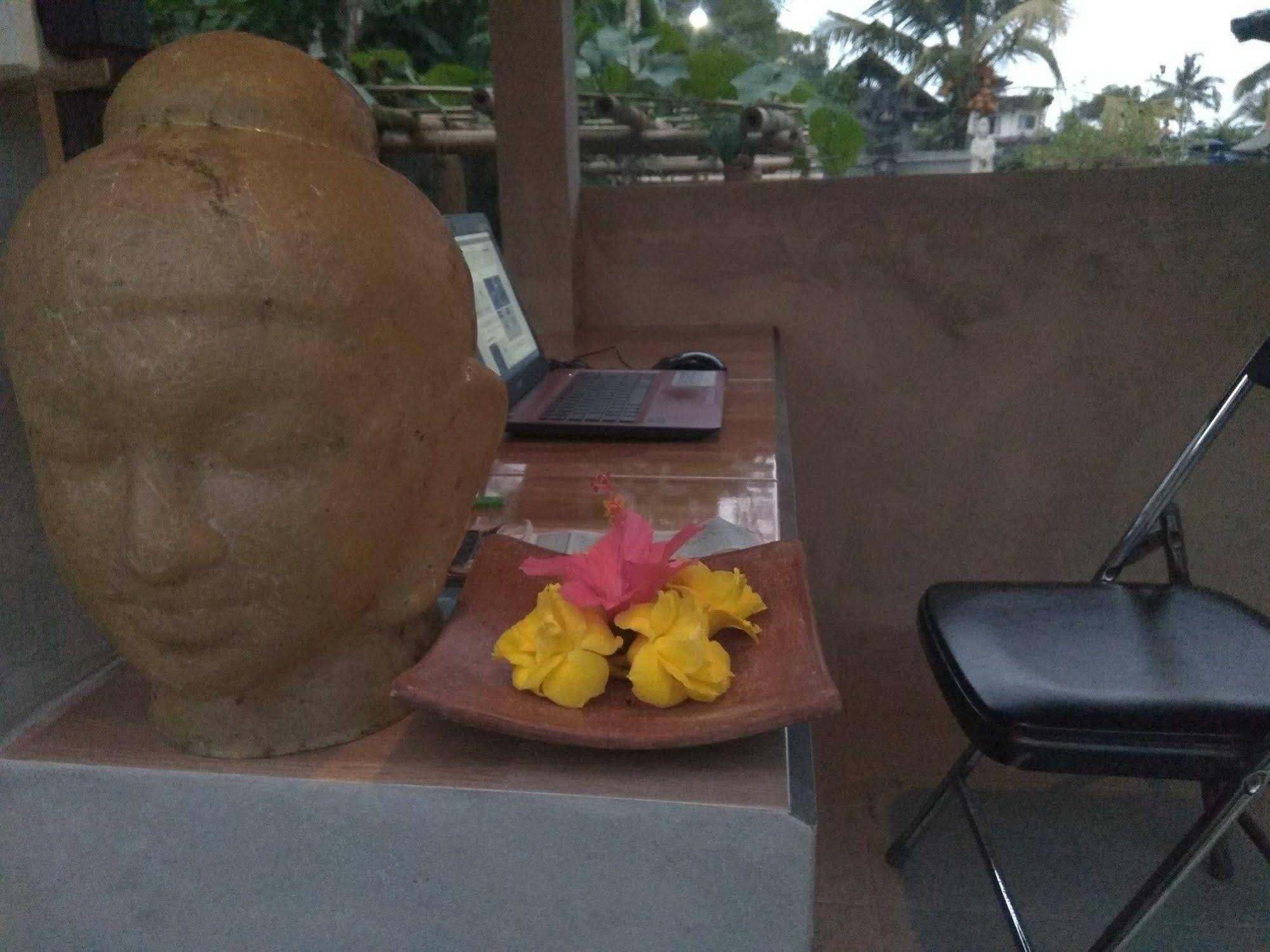 Oyo 1946 Terrace Campuhan