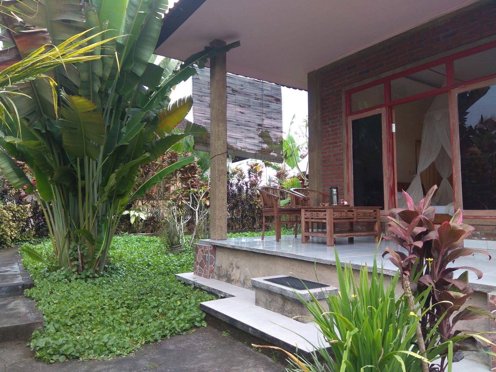 Oyo 1946 Terrace Campuhan