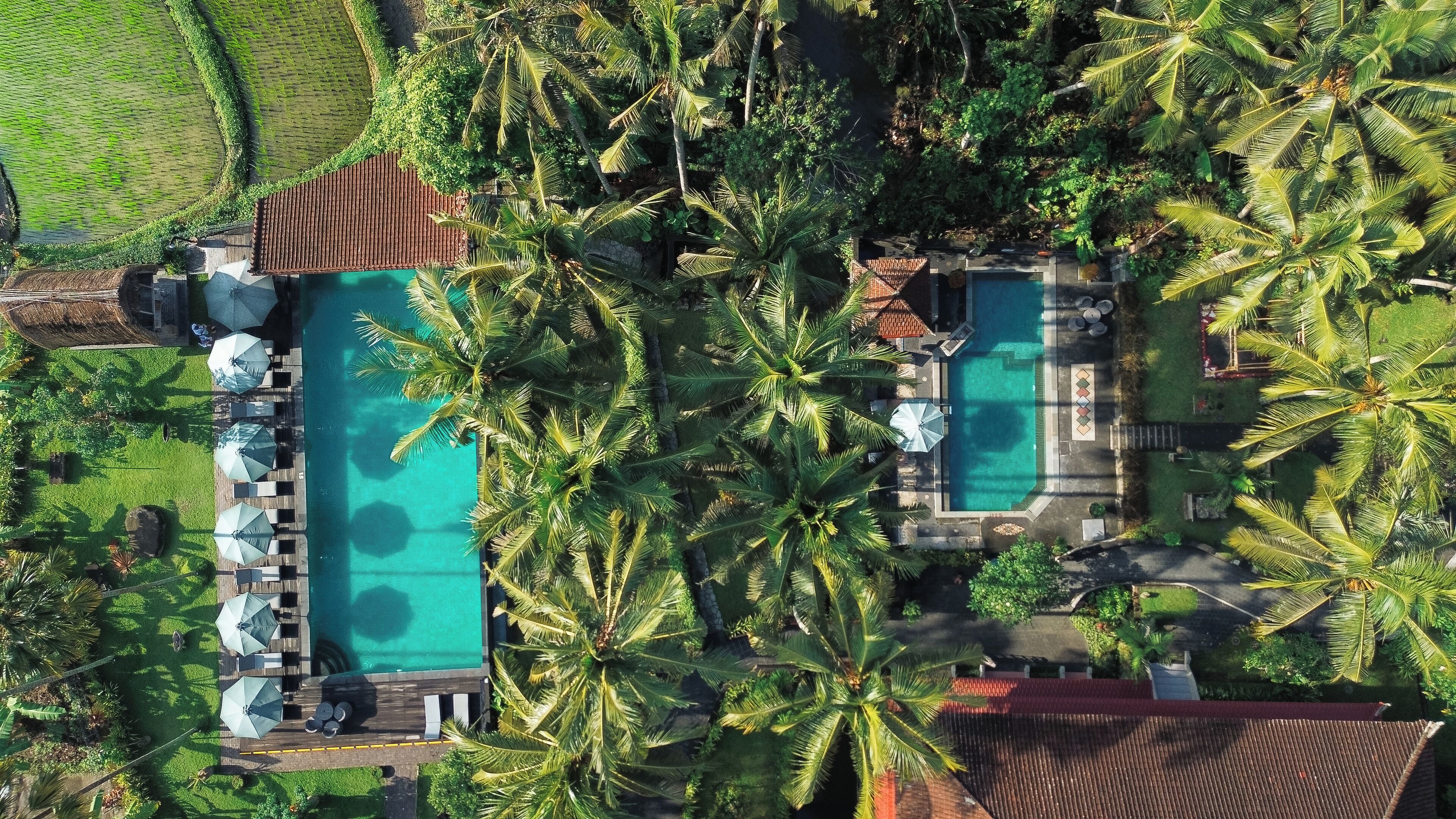 The Artini Dijiwa Ubud
