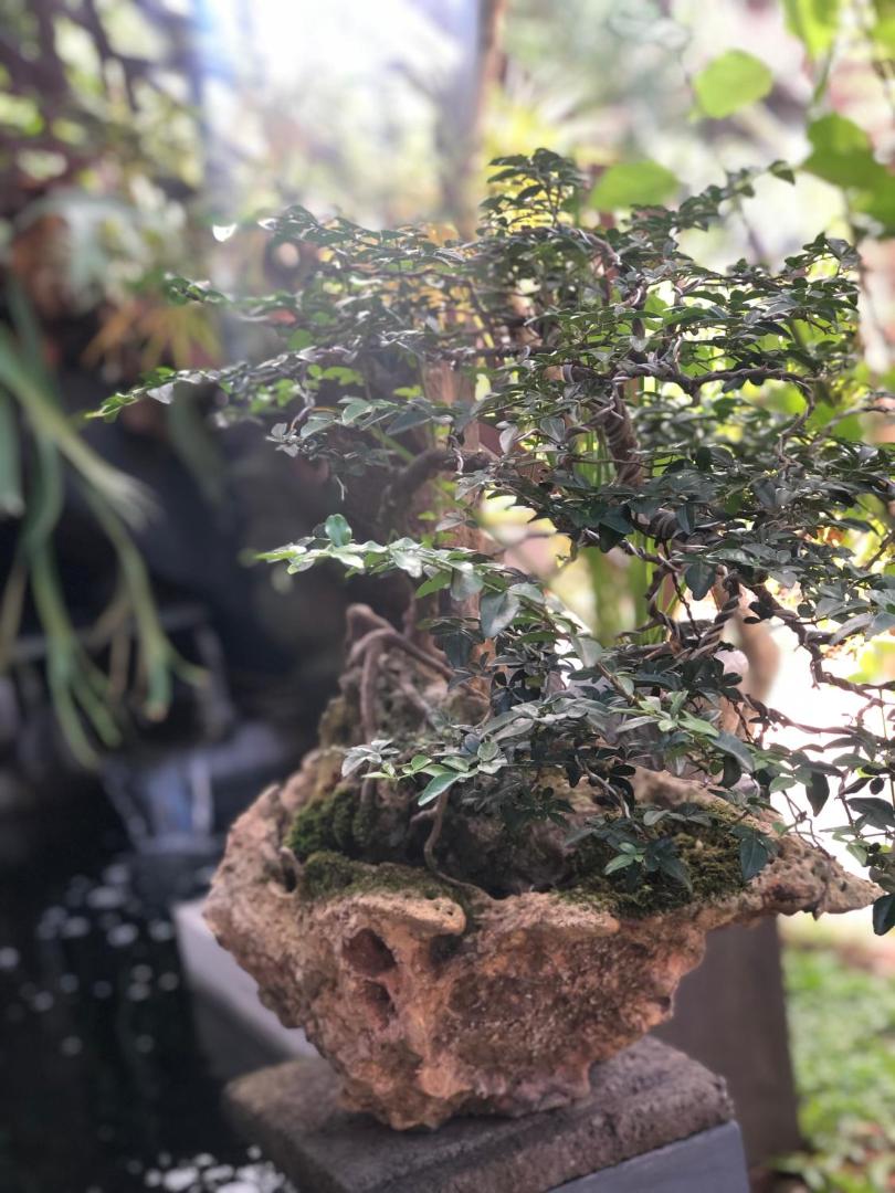 The Hidden Bali Inn