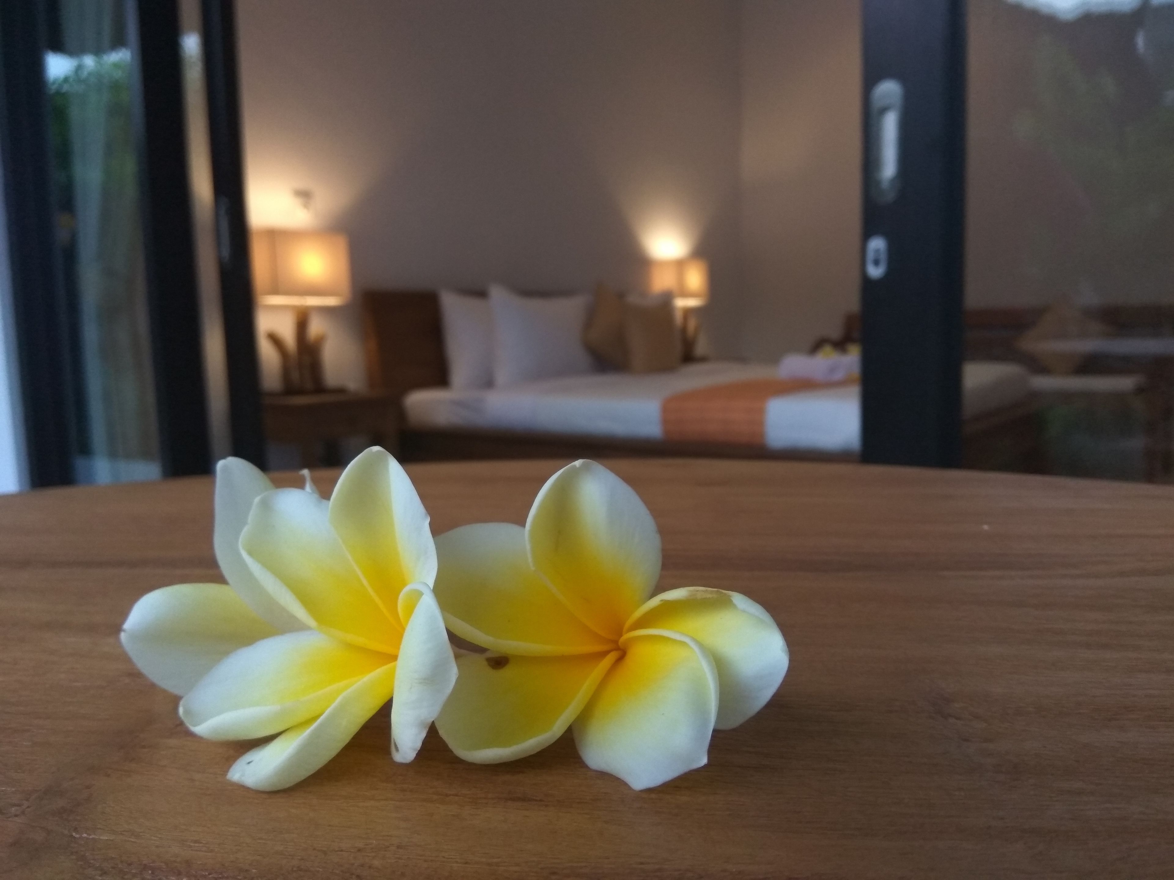 The Hidden Bali Inn