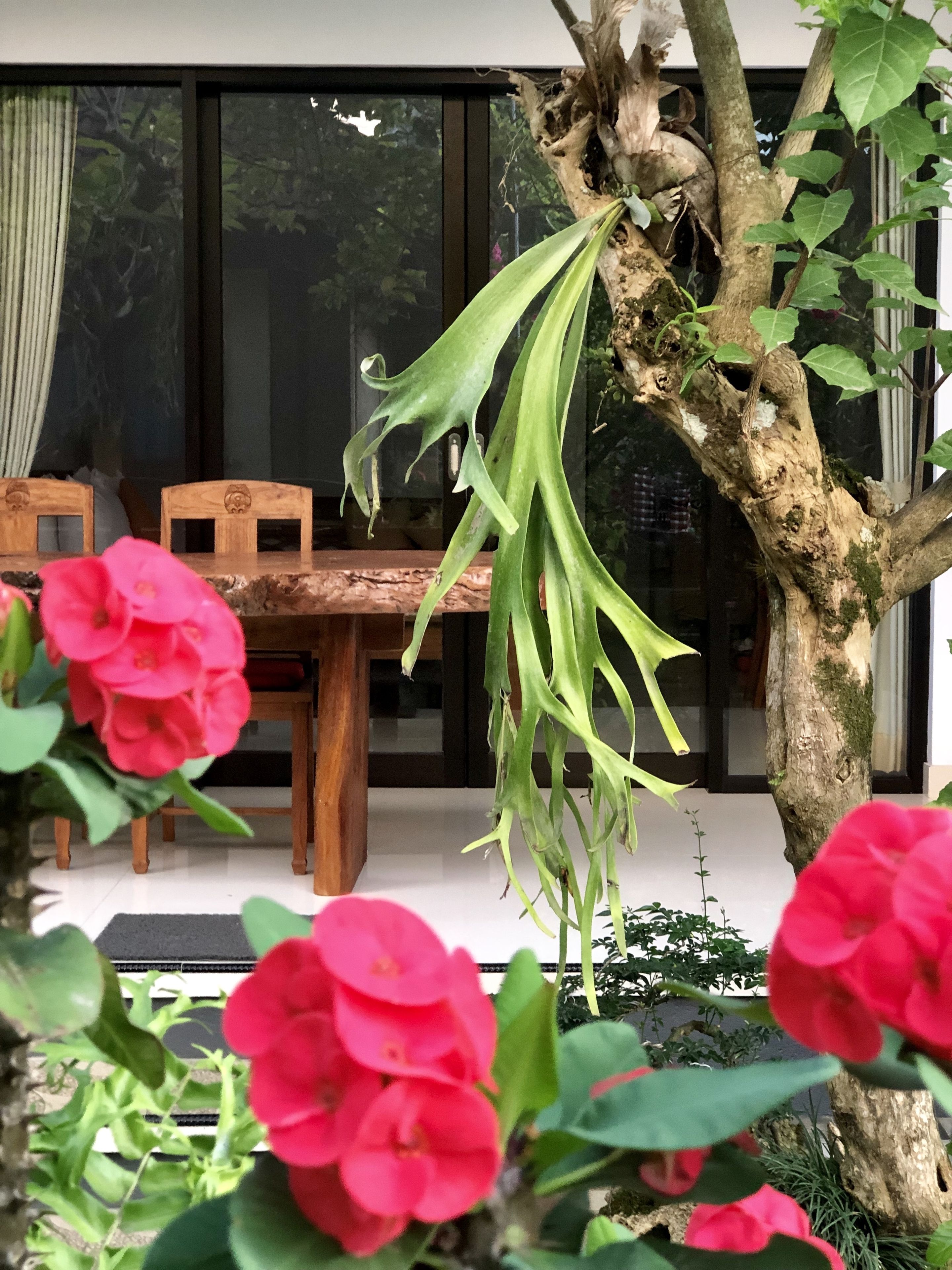 The Hidden Bali Inn