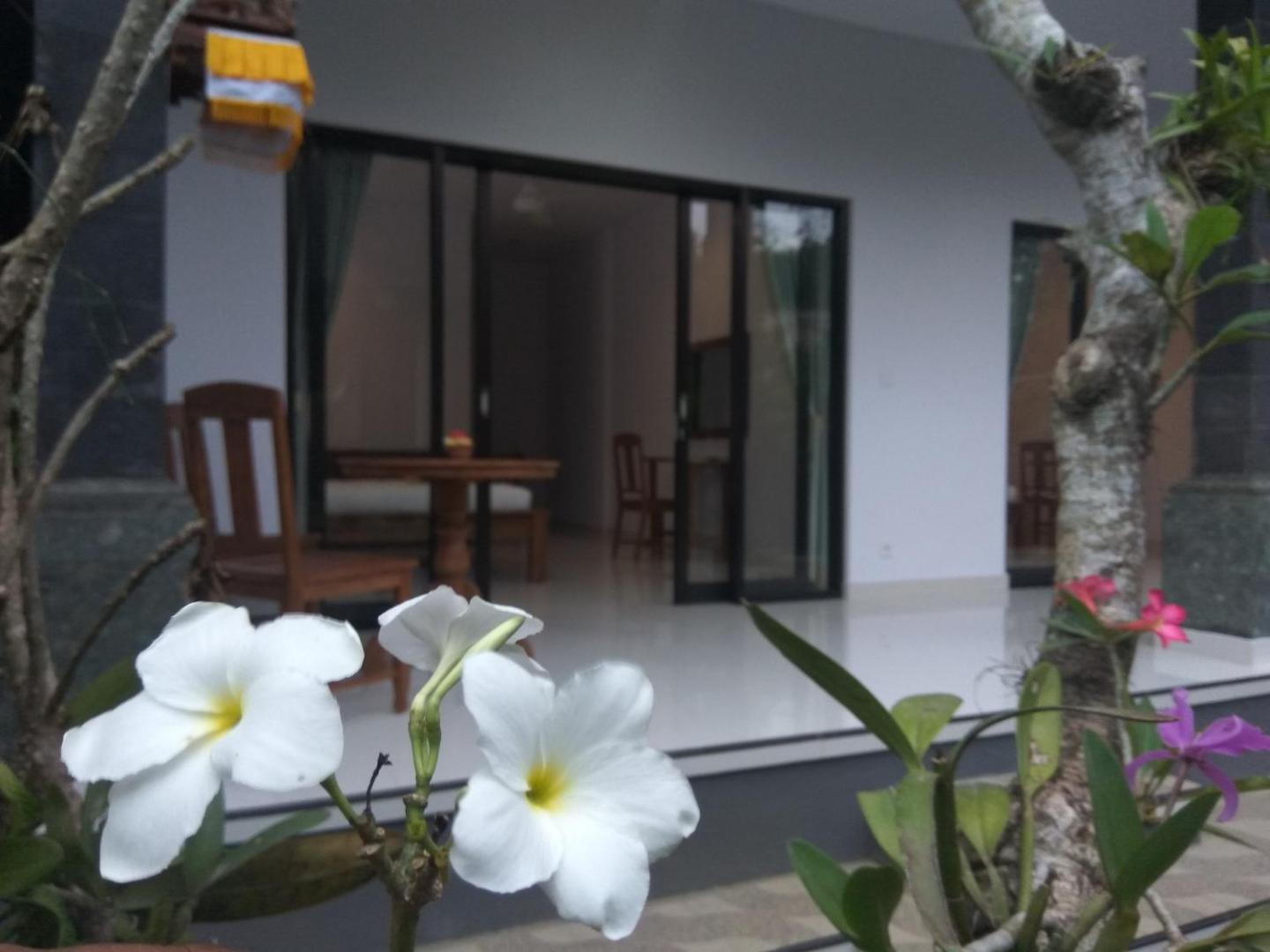 The Hidden Bali Inn