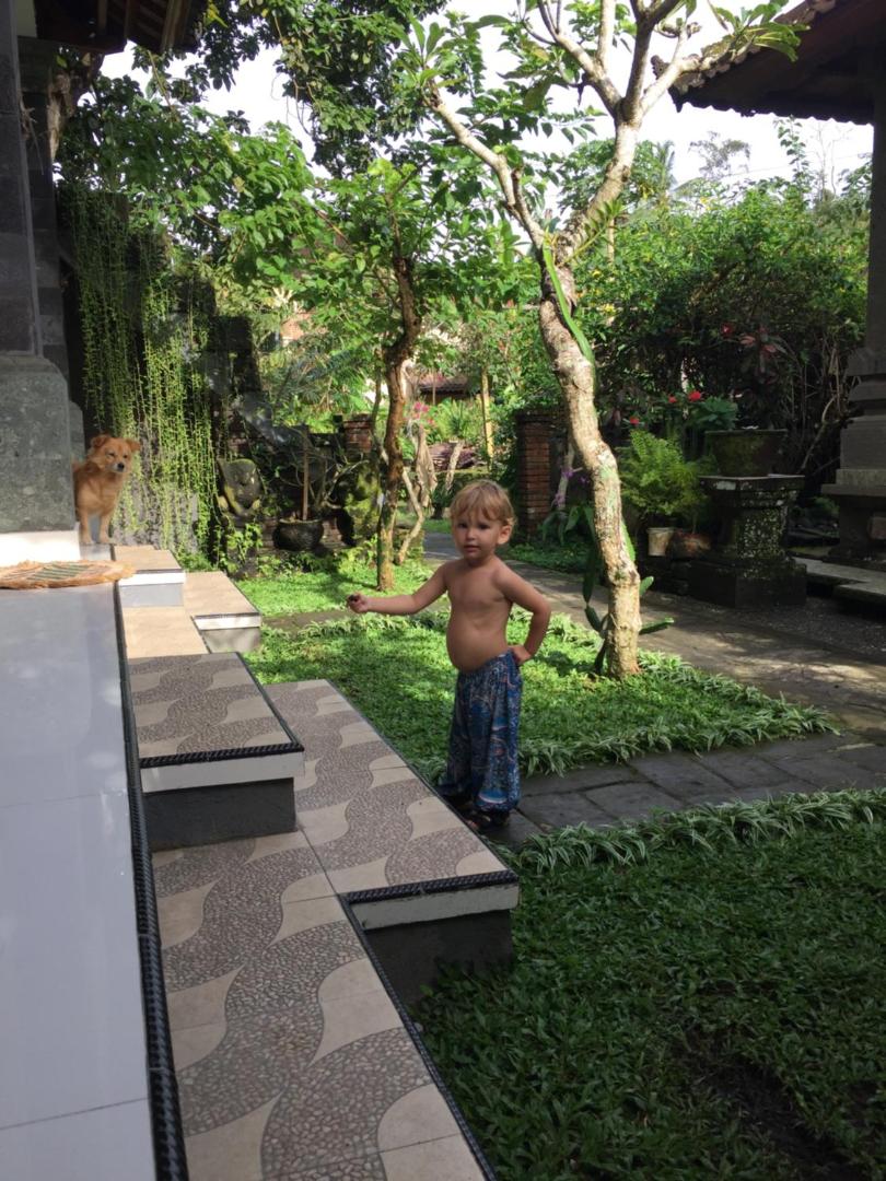 The Hidden Bali Inn