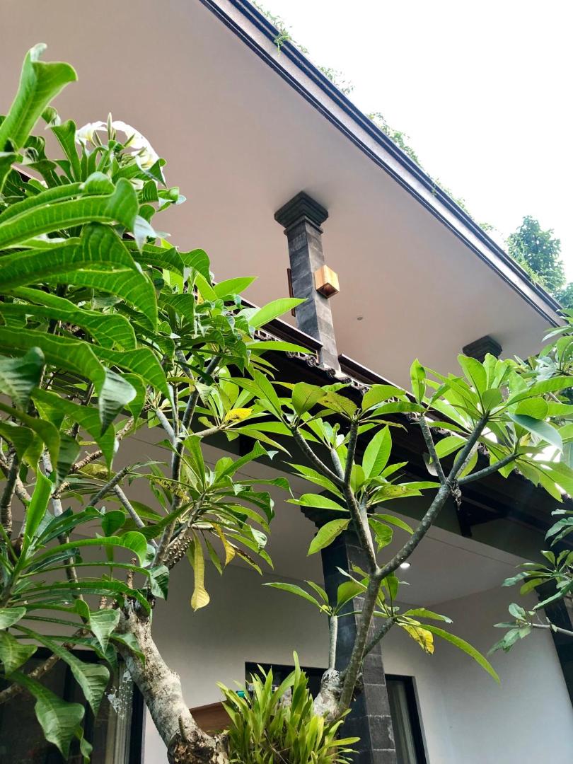 The Hidden Bali Inn