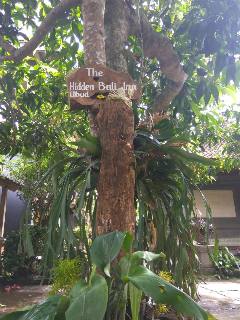 The Hidden Bali Inn