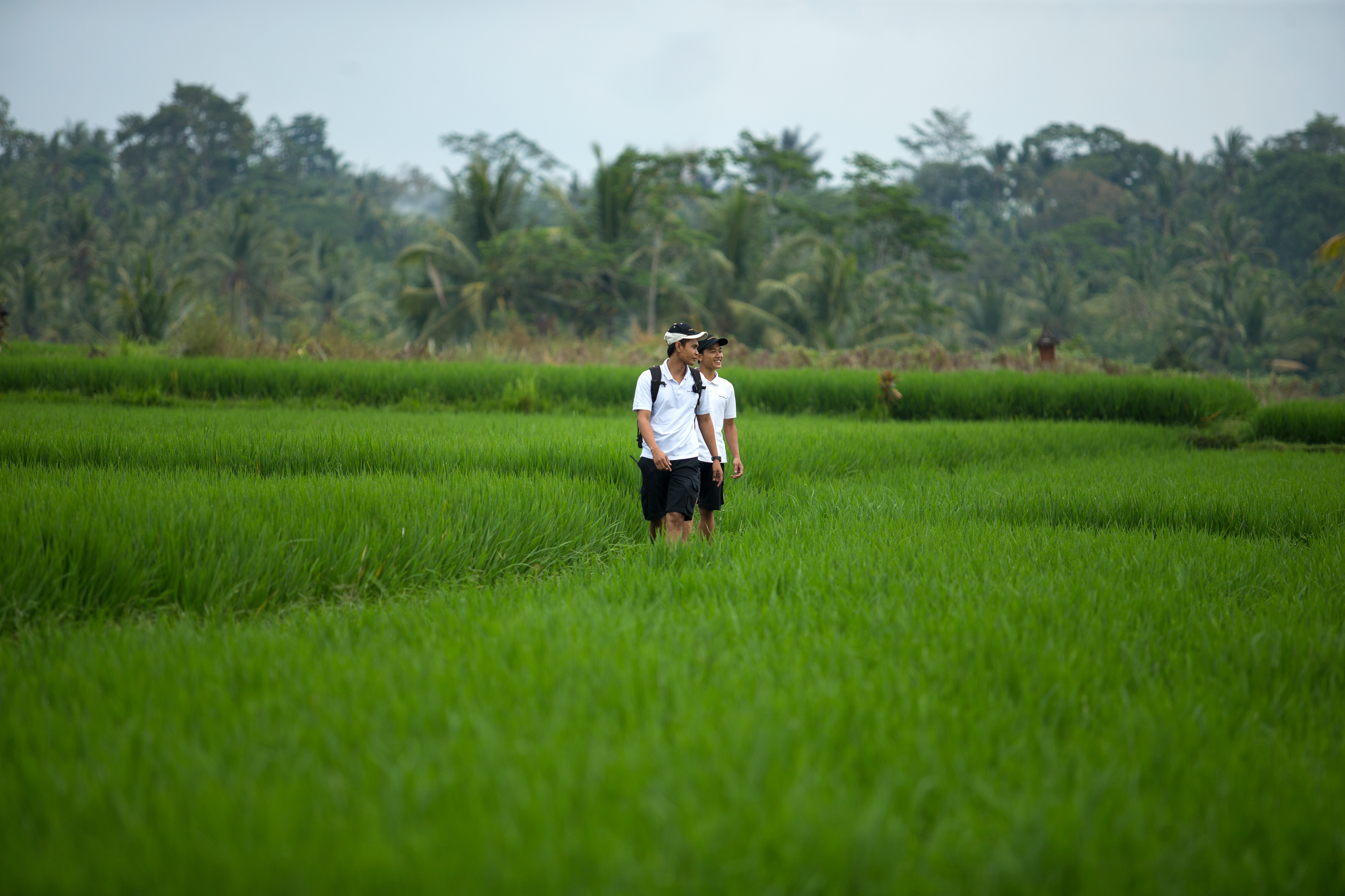 The Samaya Ubud Bali