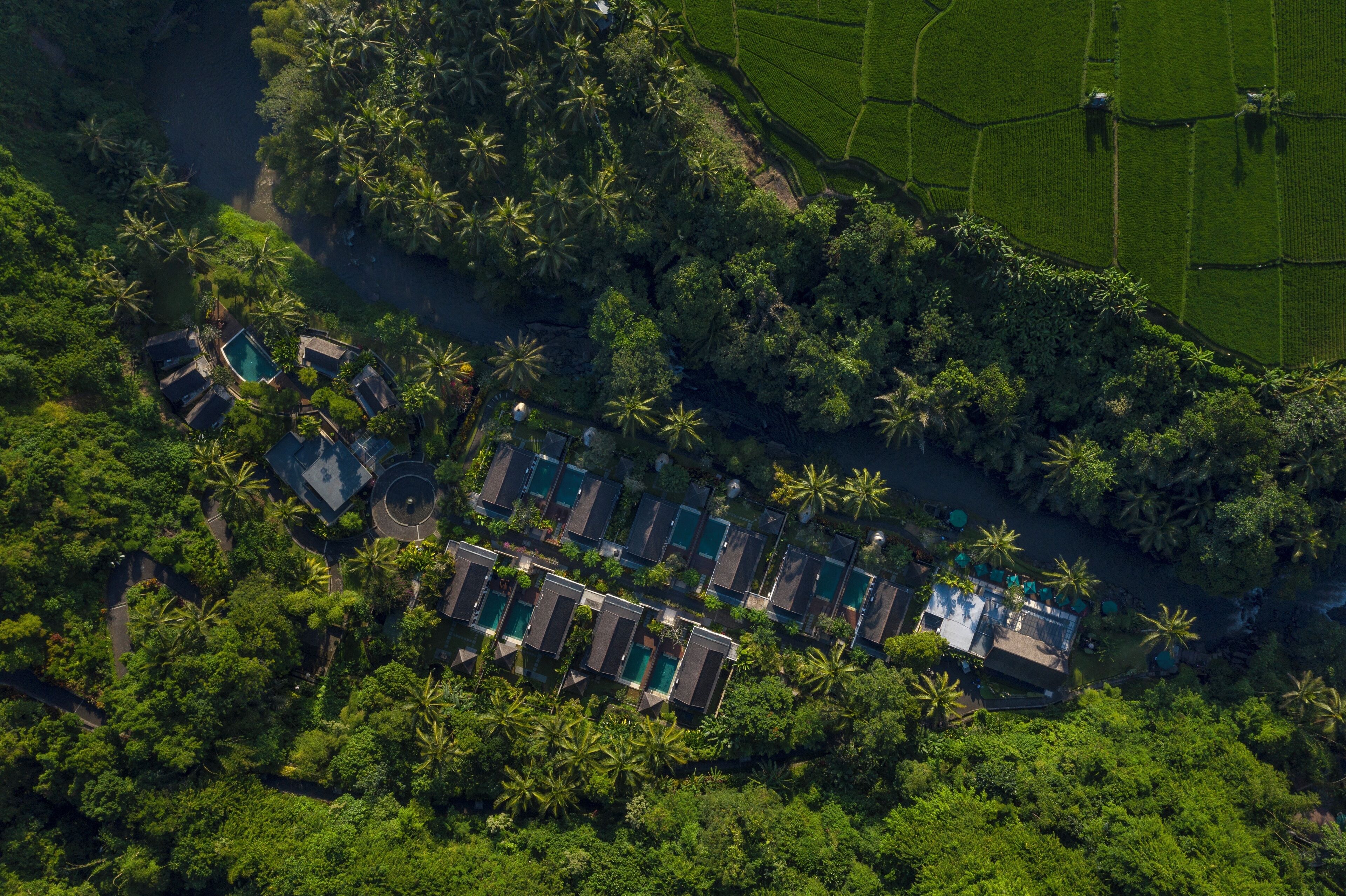 The Samaya Ubud Bali