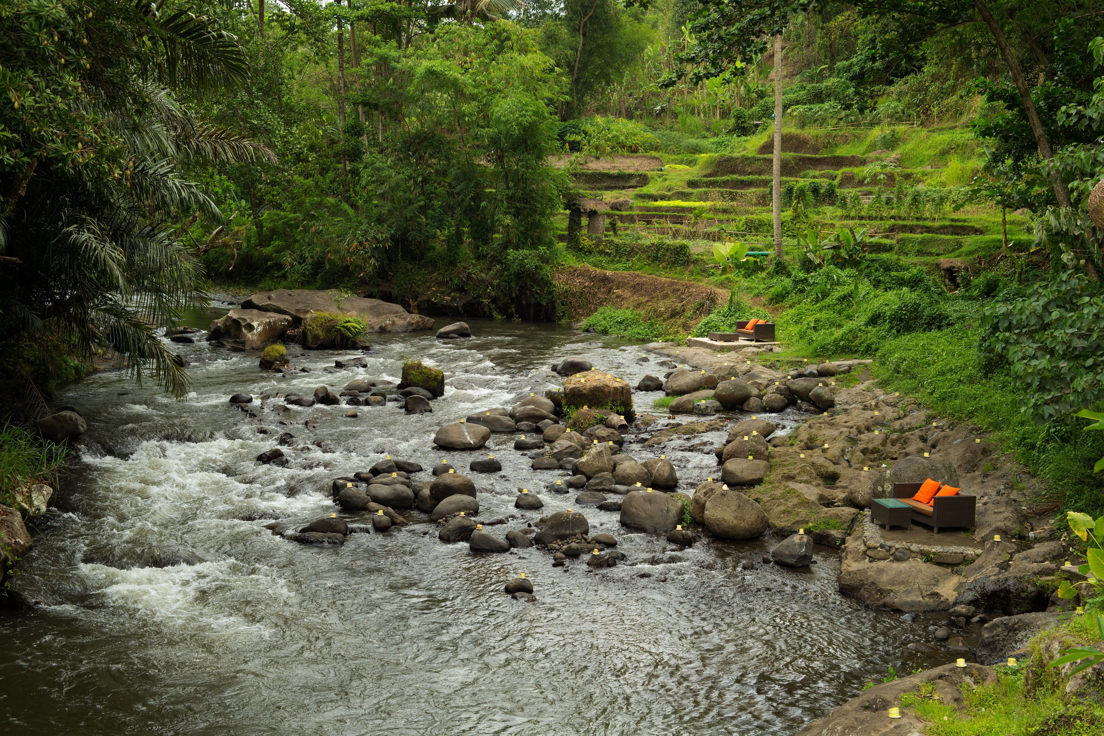 The Samaya Ubud Bali