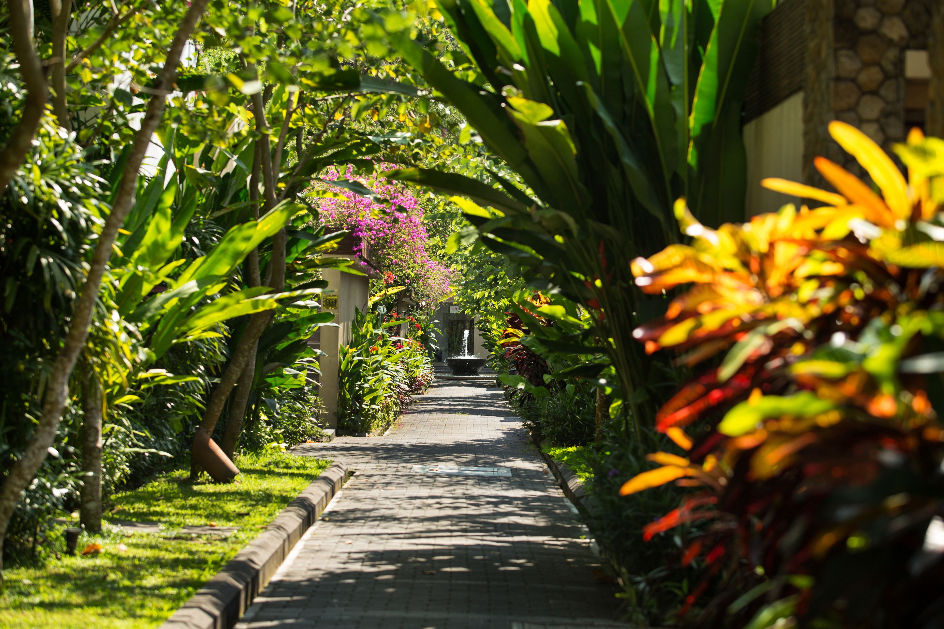 The Samaya Ubud Bali
