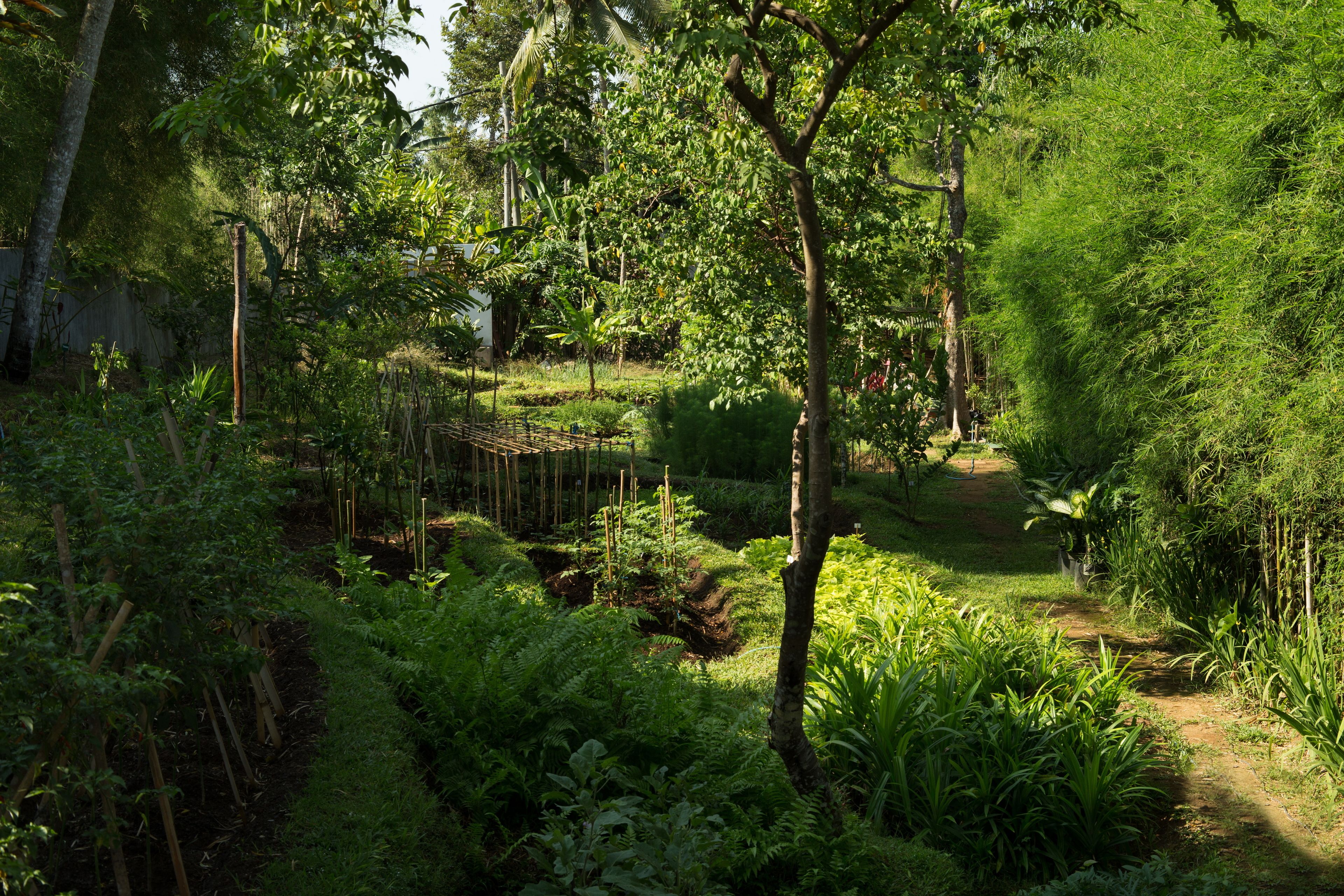 The Samaya Ubud Bali