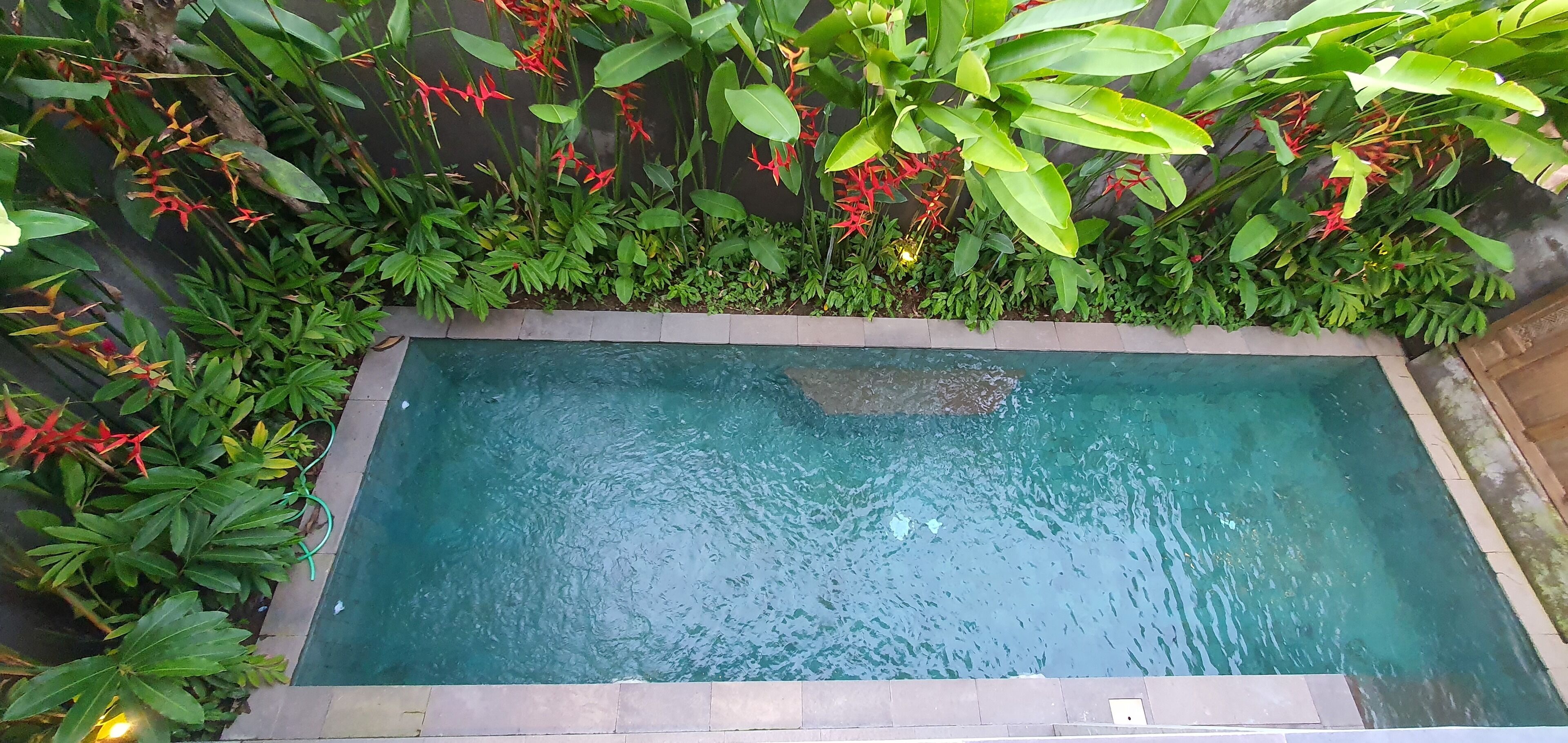 Ubud Diary