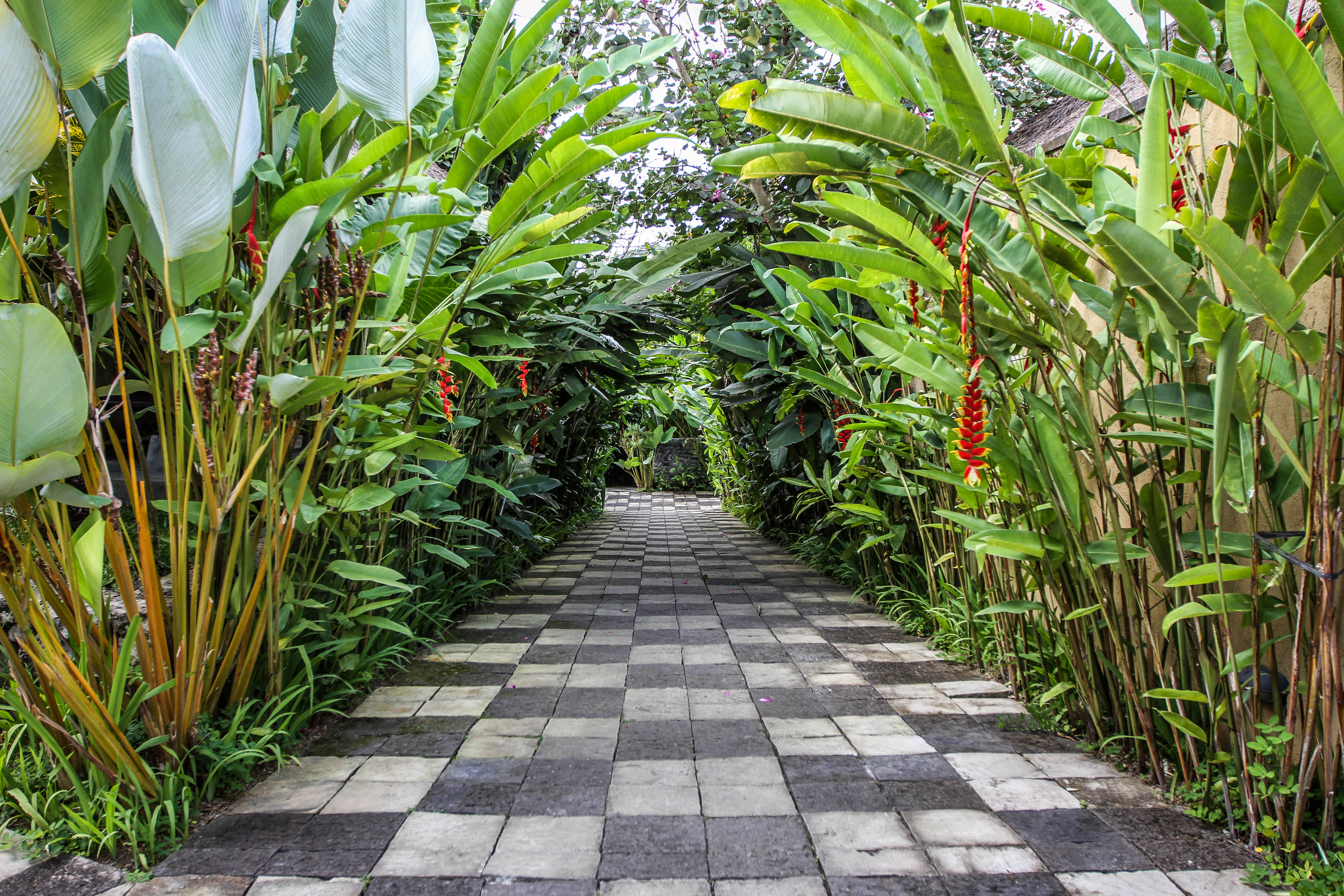Ubud Green