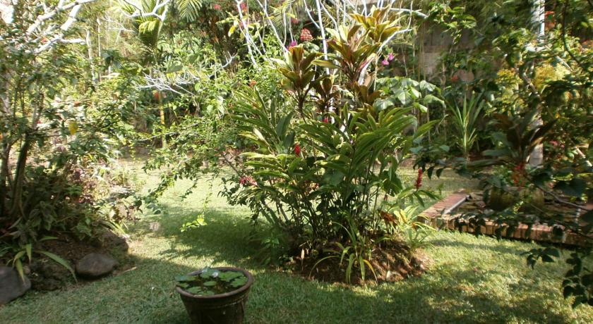 Ubud Inn Cottage & Spa