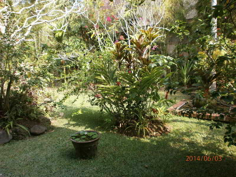 Ubud Inn Cottage & Spa
