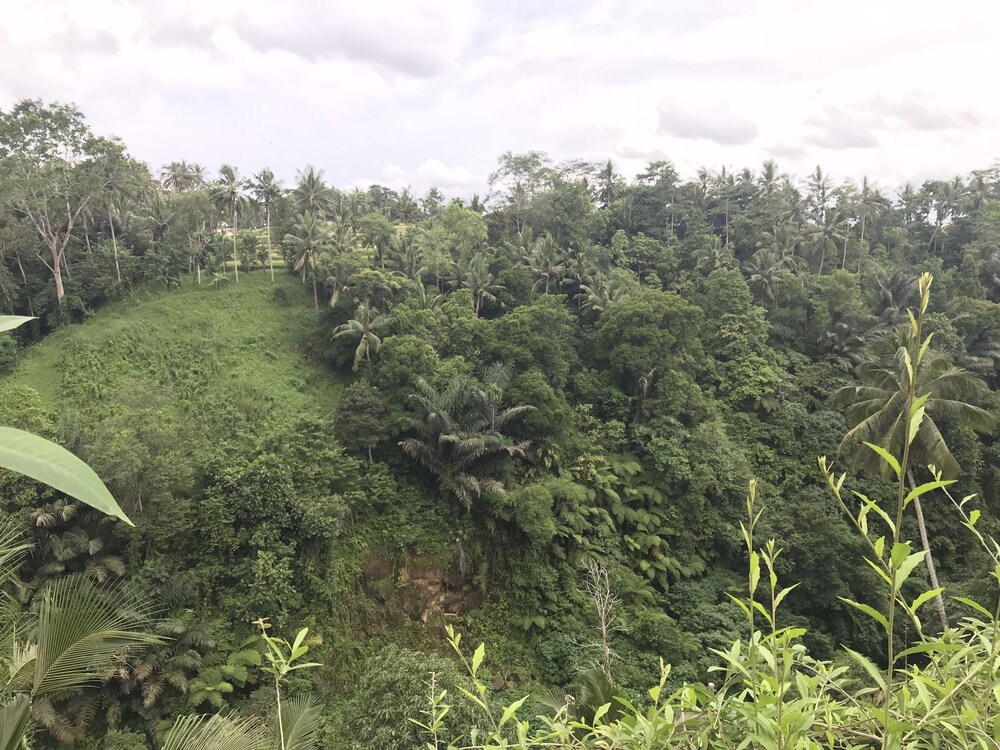 Ubud Paras Villa