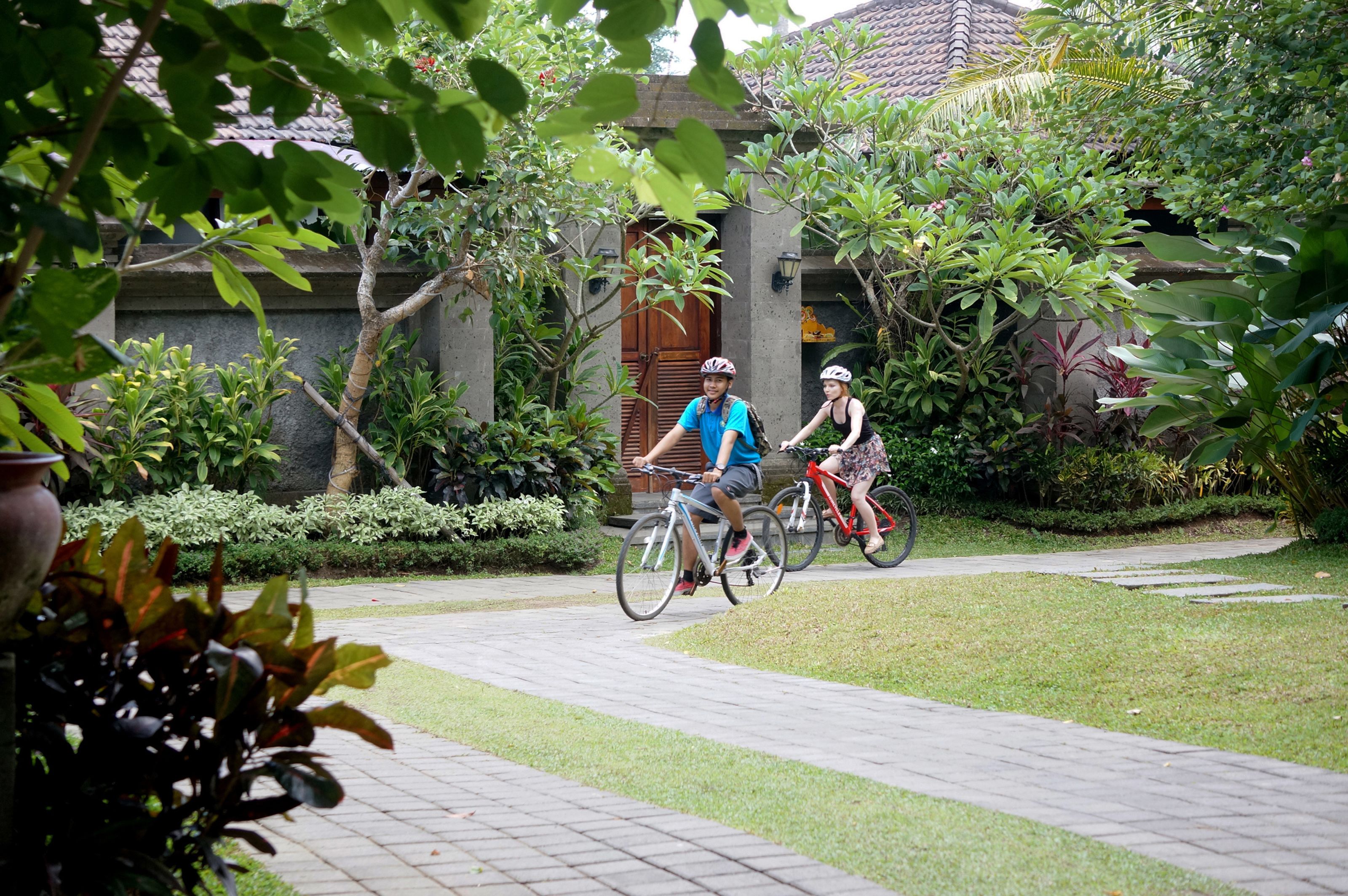 Ubud Raya Villa