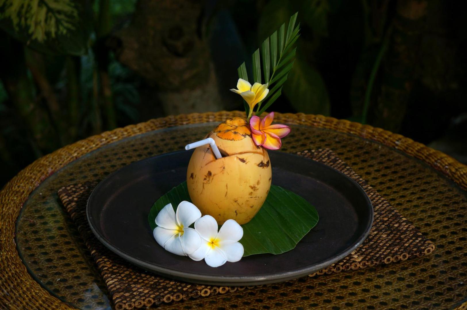 Ubud Raya Villa
