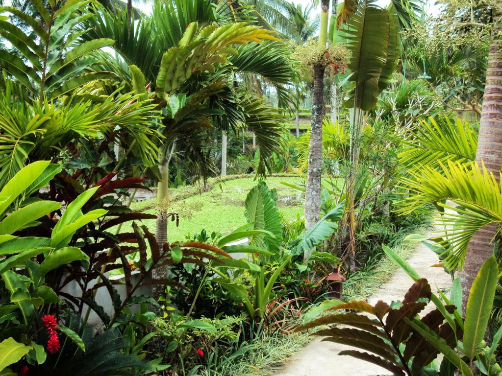 Ubud Syailendra Villas